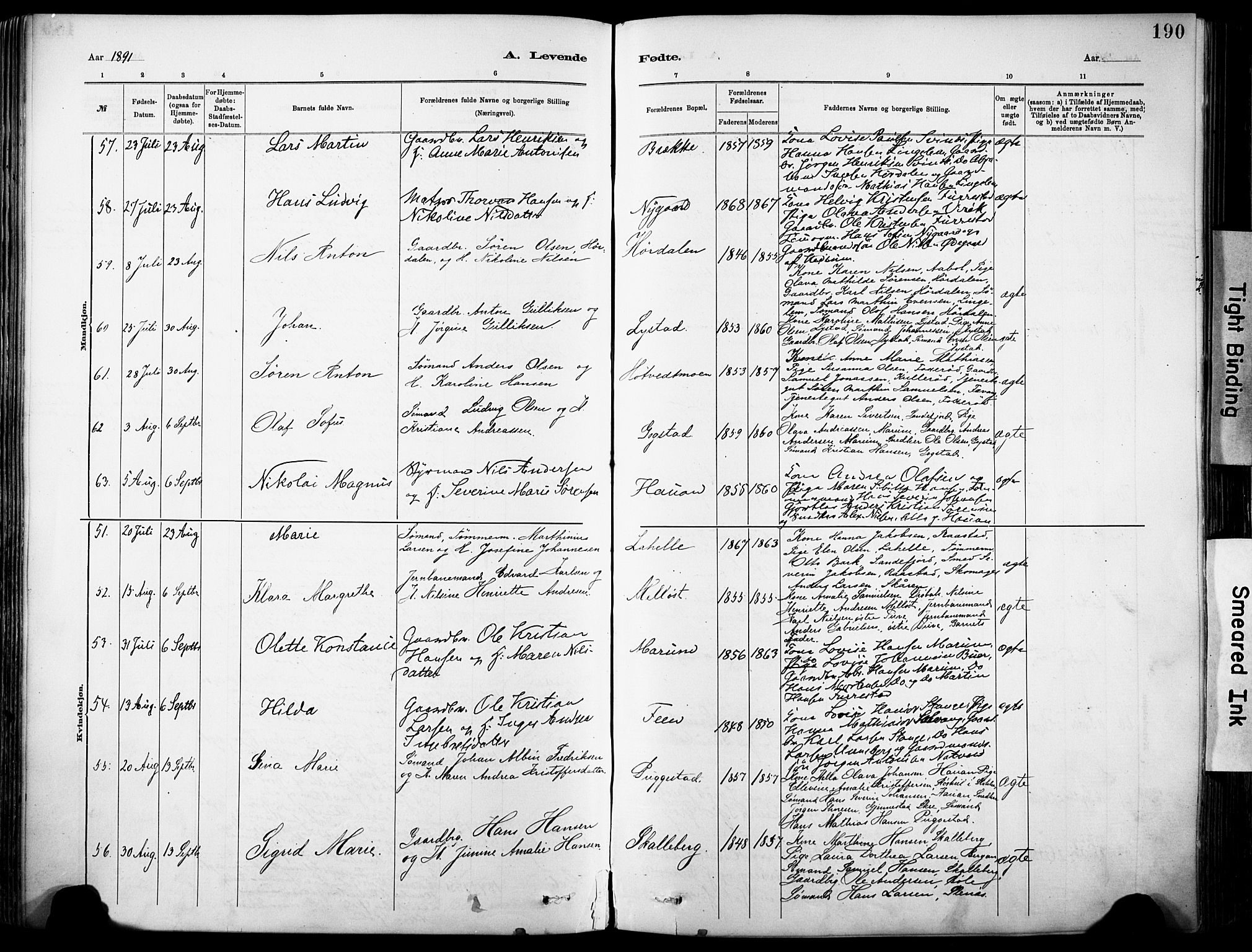 Sandar kirkebøker, SAKO/A-243/F/Fa/L0012: Parish register (official) no. 12, 1883-1895, p. 190
