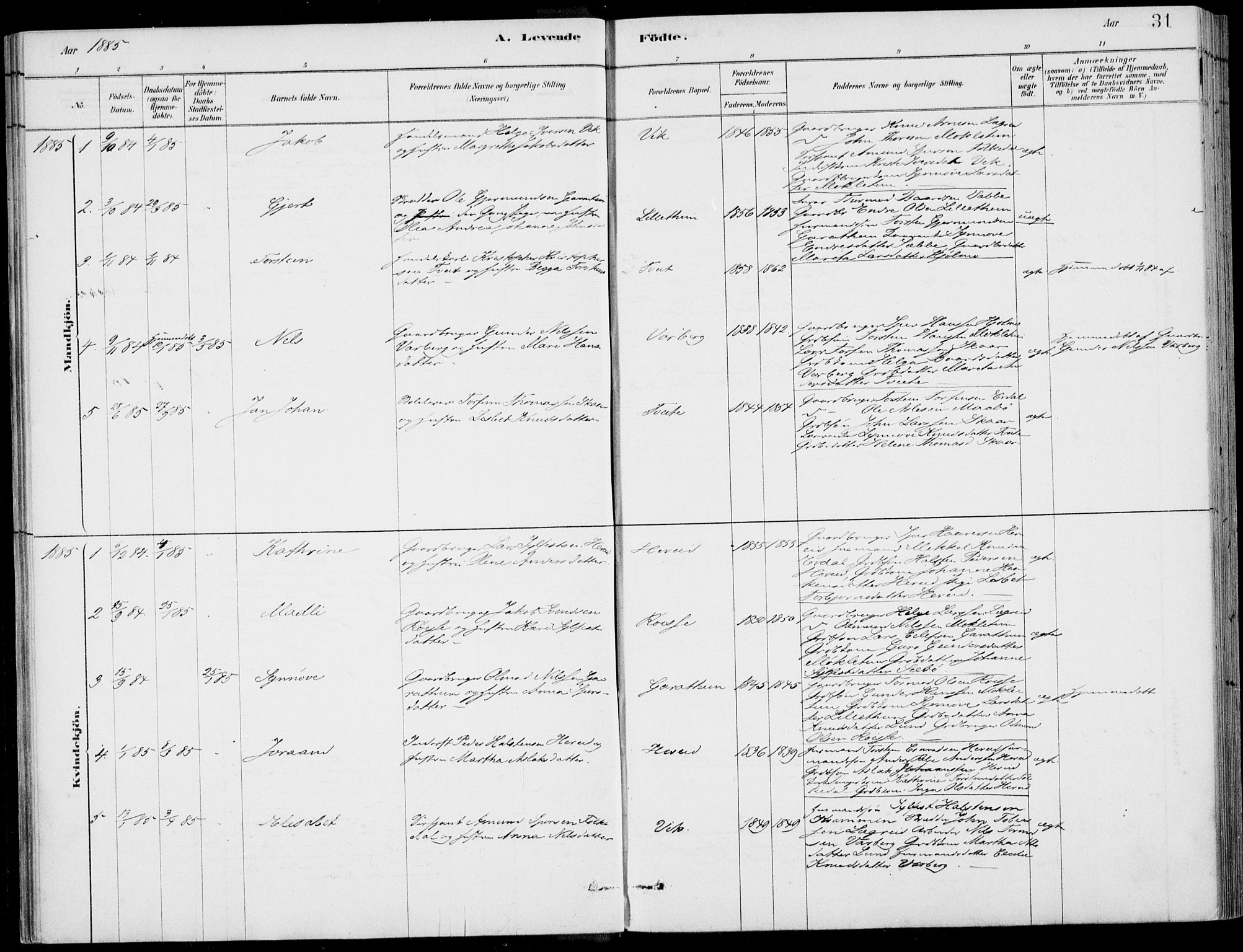 Ulvik sokneprestembete, AV/SAB-A-78801/H/Haa: Parish register (official) no. D  1, 1878-1903, p. 31