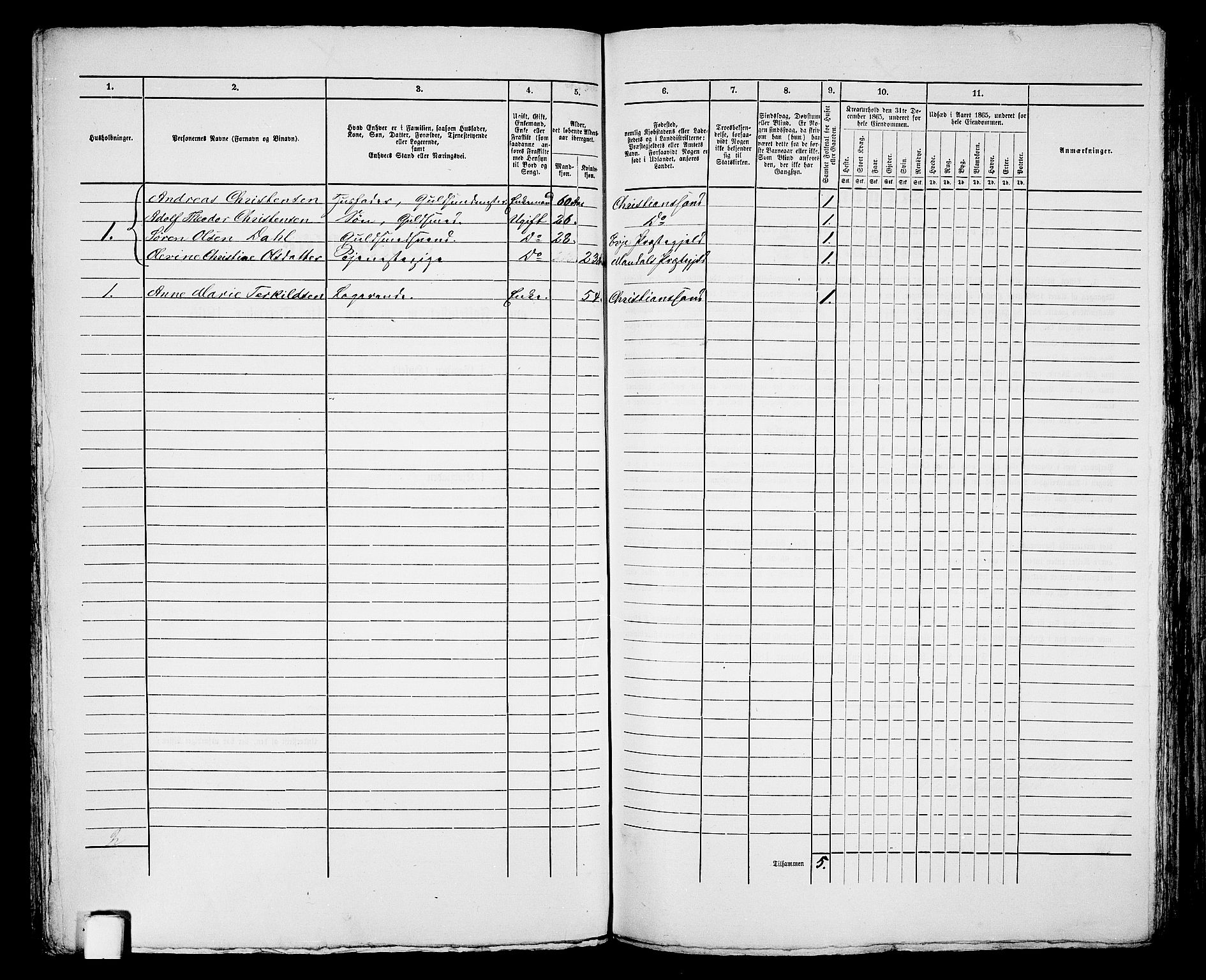 RA, 1865 census for Kristiansand, 1865, p. 748