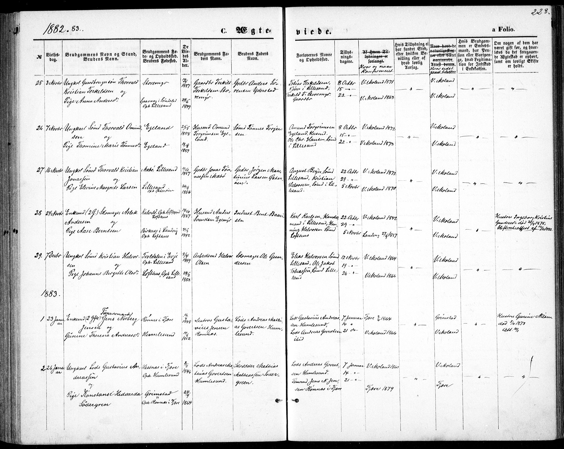 Vestre Moland sokneprestkontor, AV/SAK-1111-0046/F/Fb/Fbb/L0005: Parish register (copy) no. B 5, 1872-1883, p. 223