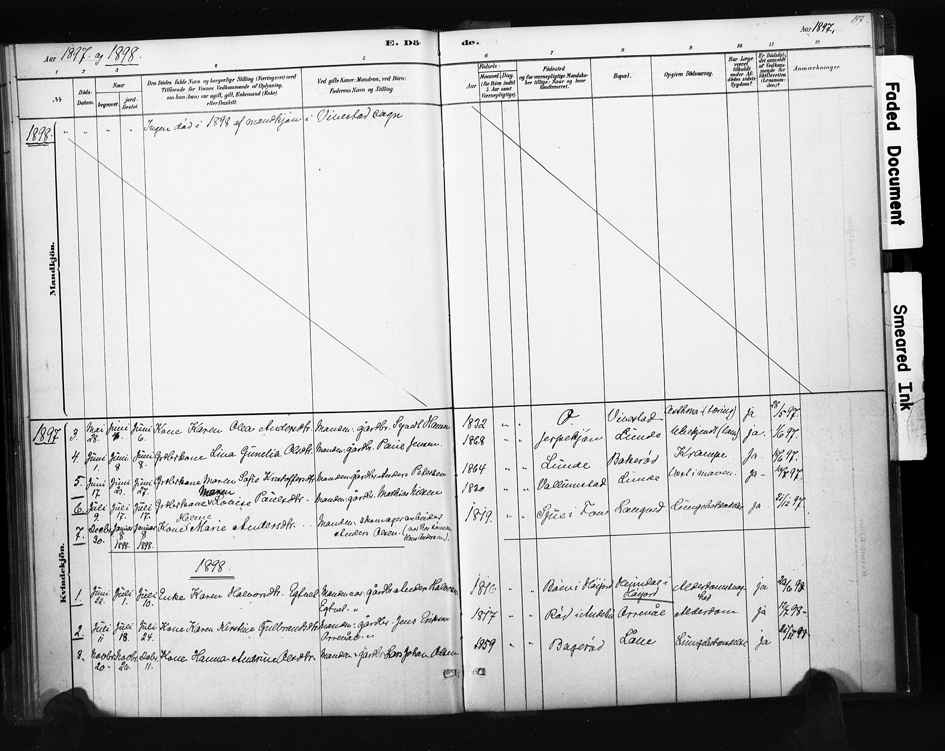 Ramnes kirkebøker, SAKO/A-314/F/Fc/L0001: Parish register (official) no. III 1, 1878-1899, p. 196-197