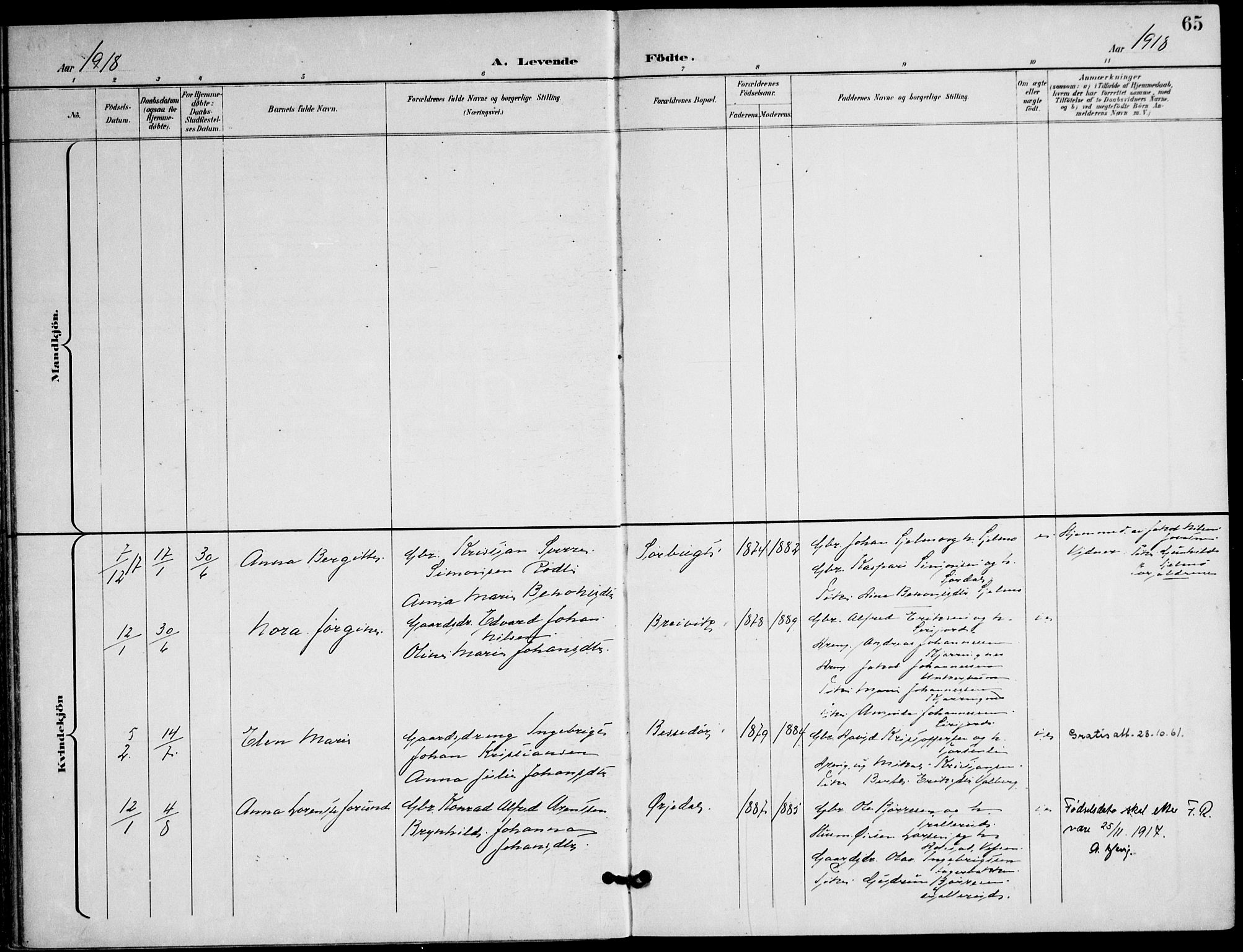 Ministerialprotokoller, klokkerbøker og fødselsregistre - Nordland, AV/SAT-A-1459/823/L0326: Parish register (official) no. 823A03, 1899-1919, p. 65