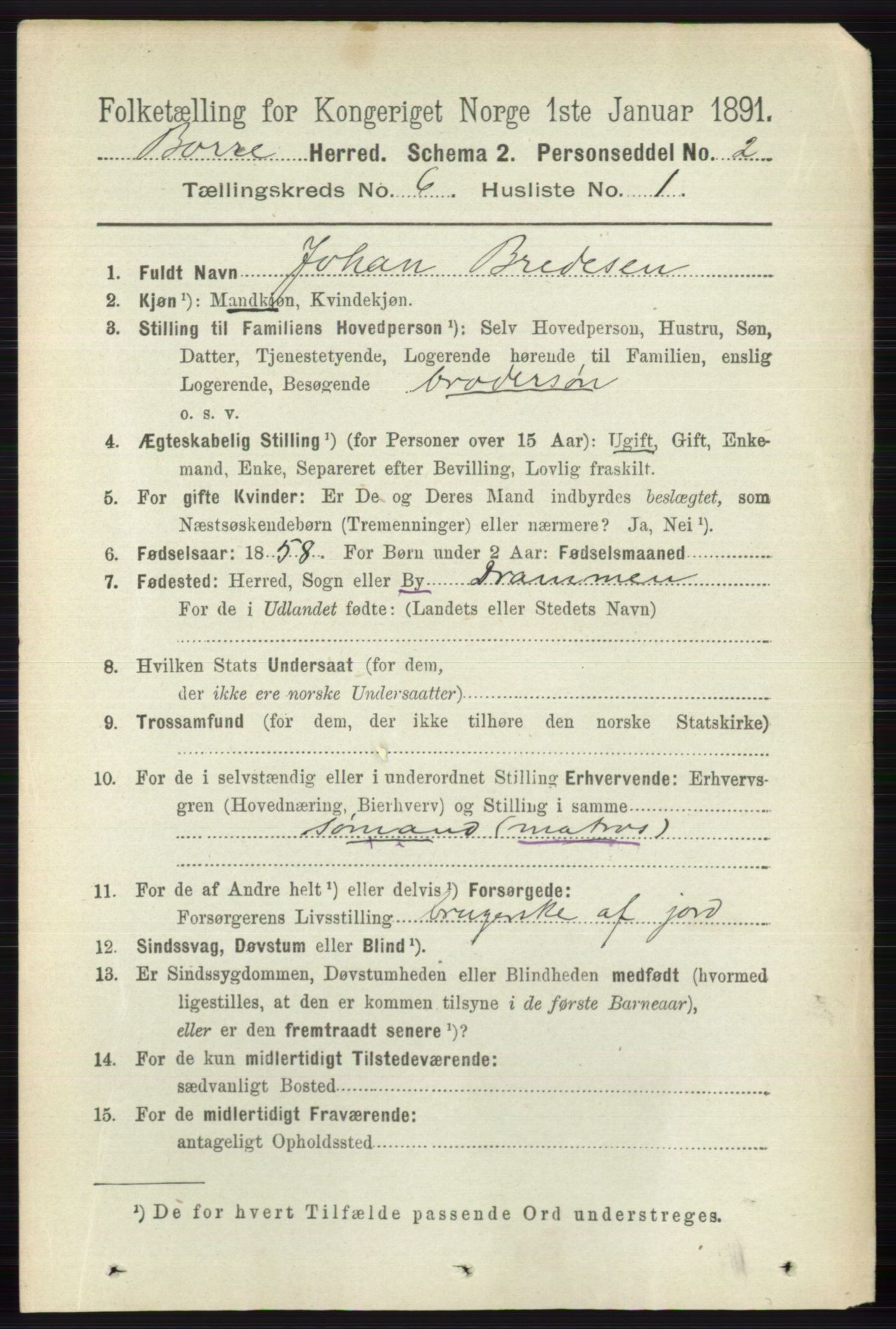 RA, 1891 census for 0717 Borre, 1891, p. 2642