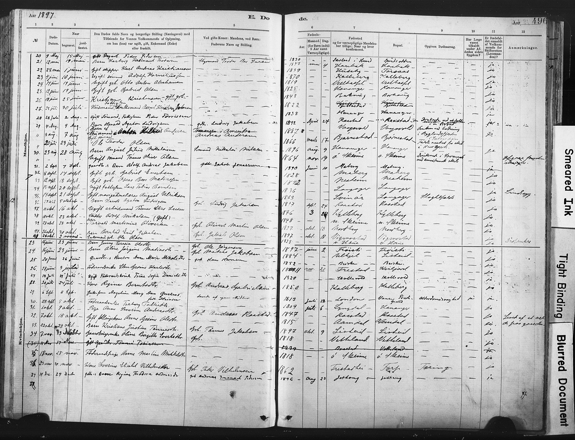 Lista sokneprestkontor, AV/SAK-1111-0027/F/Fa/L0012: Parish register (official) no. A 12, 1879-1903, p. 496