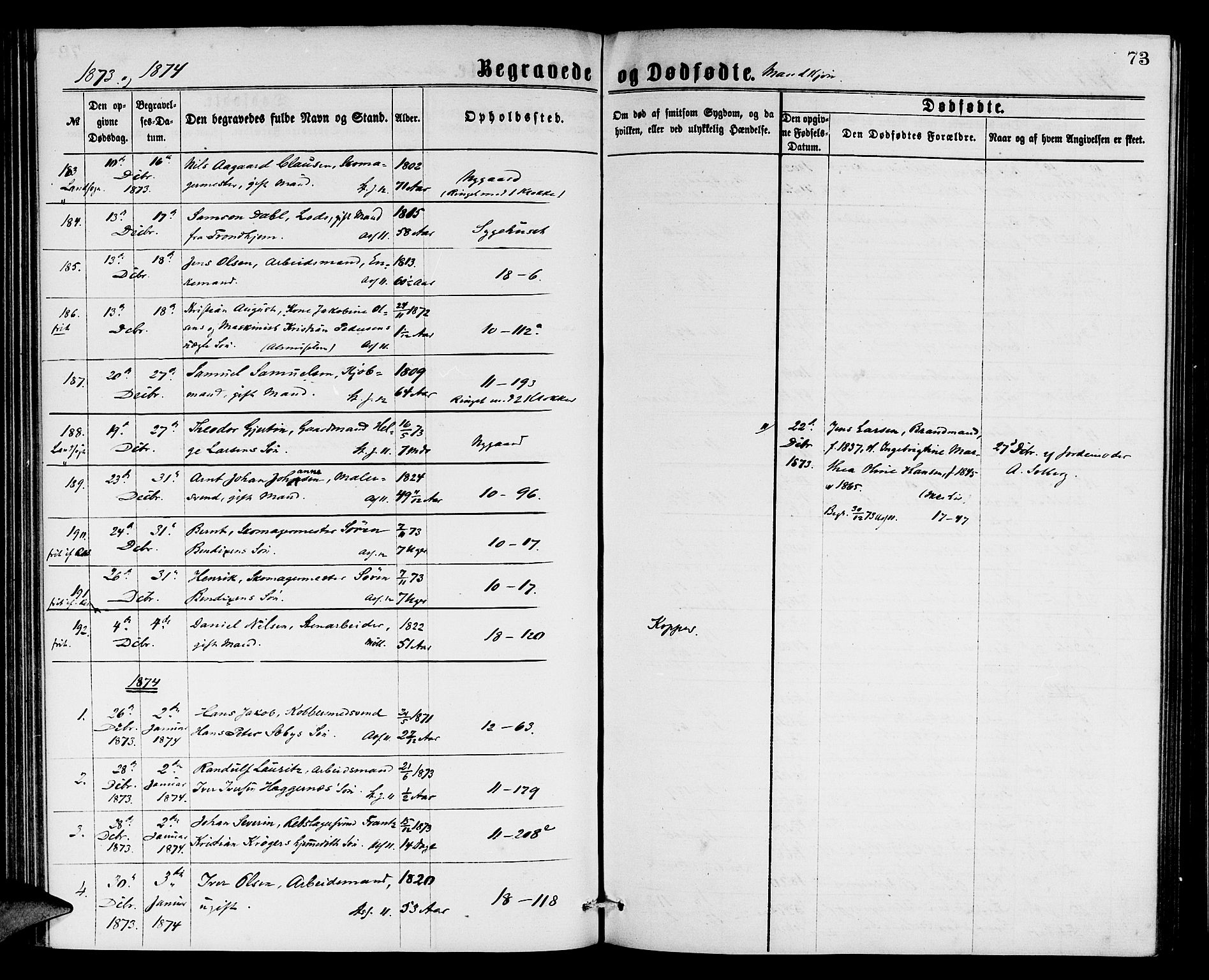 Domkirken sokneprestembete, SAB/A-74801/H/Hab/L0040: Parish register (copy) no. E 4, 1868-1877, p. 73