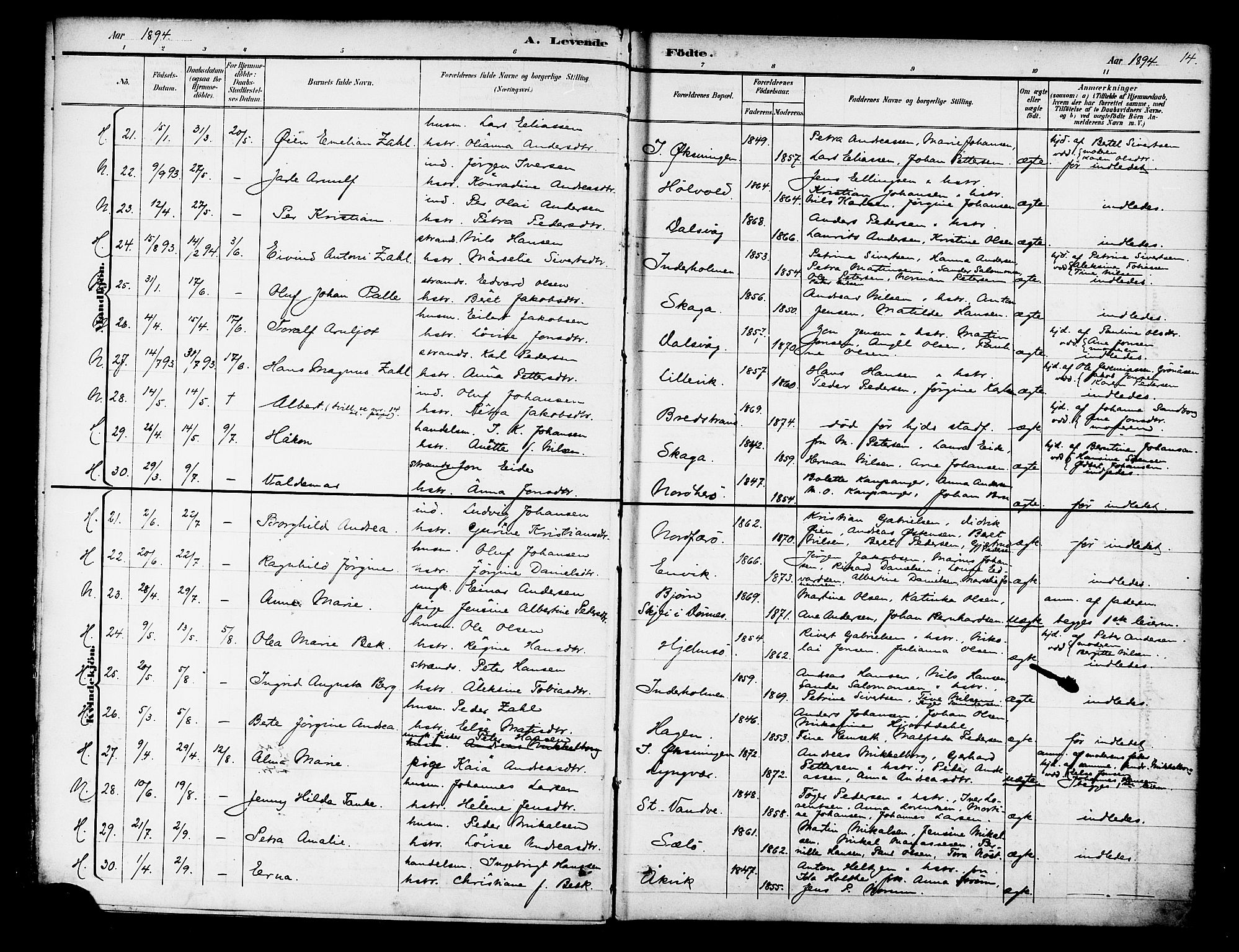 Ministerialprotokoller, klokkerbøker og fødselsregistre - Nordland, AV/SAT-A-1459/834/L0508: Parish register (official) no. 834A06, 1892-1901, p. 14