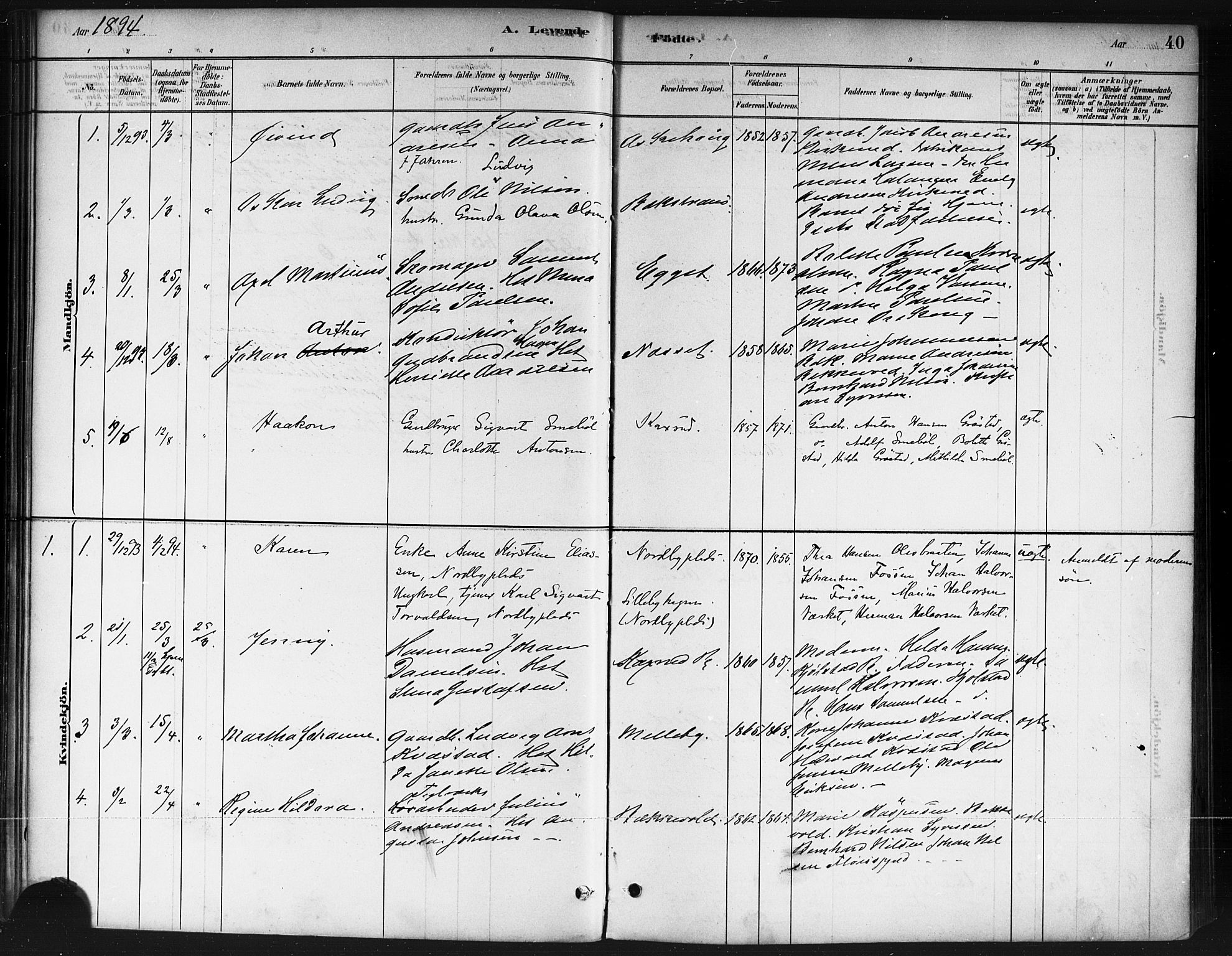 Ås prestekontor Kirkebøker, AV/SAO-A-10894/F/Fb/L0001: Parish register (official) no. II 1, 1881-1895, p. 40