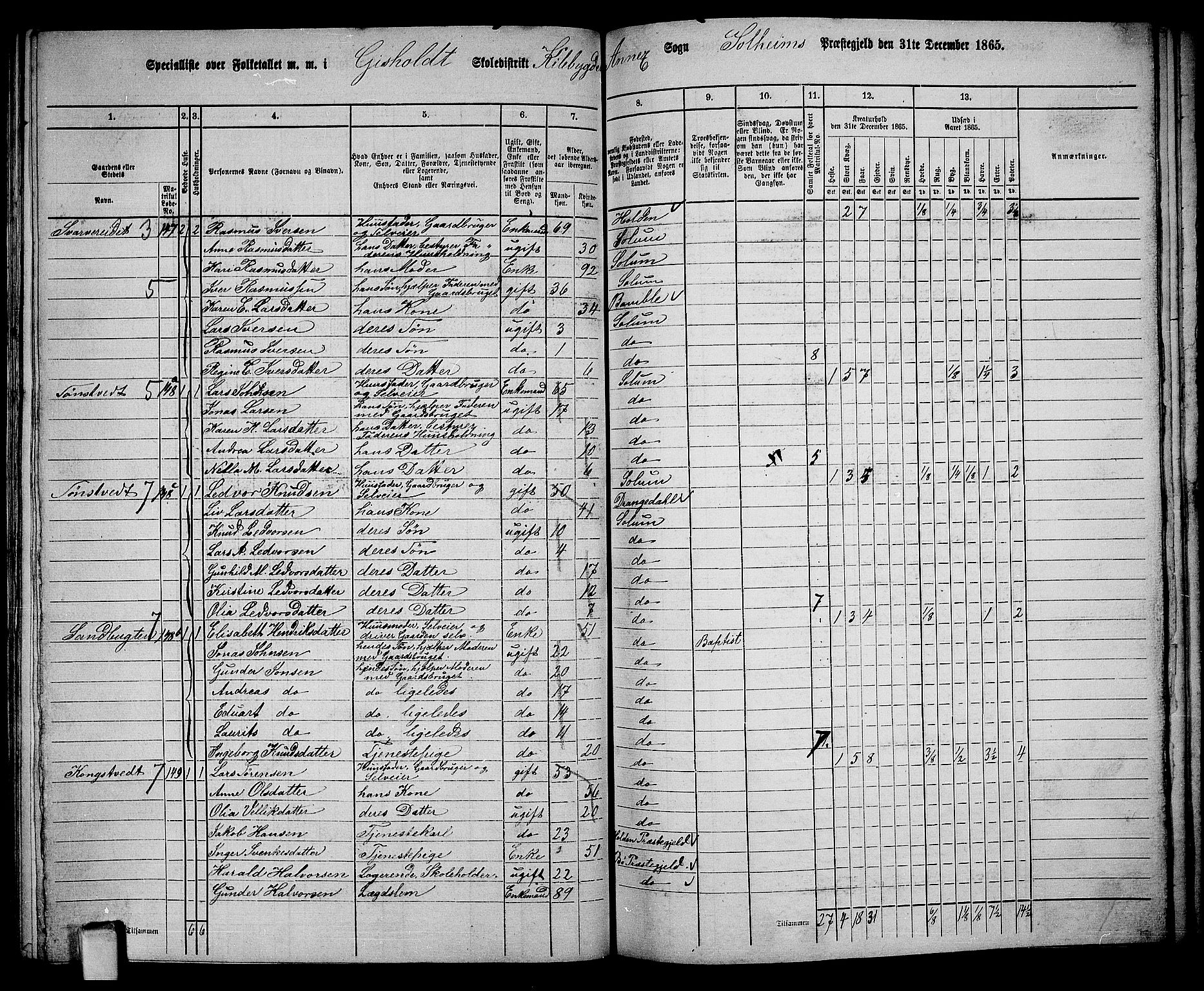 RA, 1865 census for Solum, 1865, p. 151