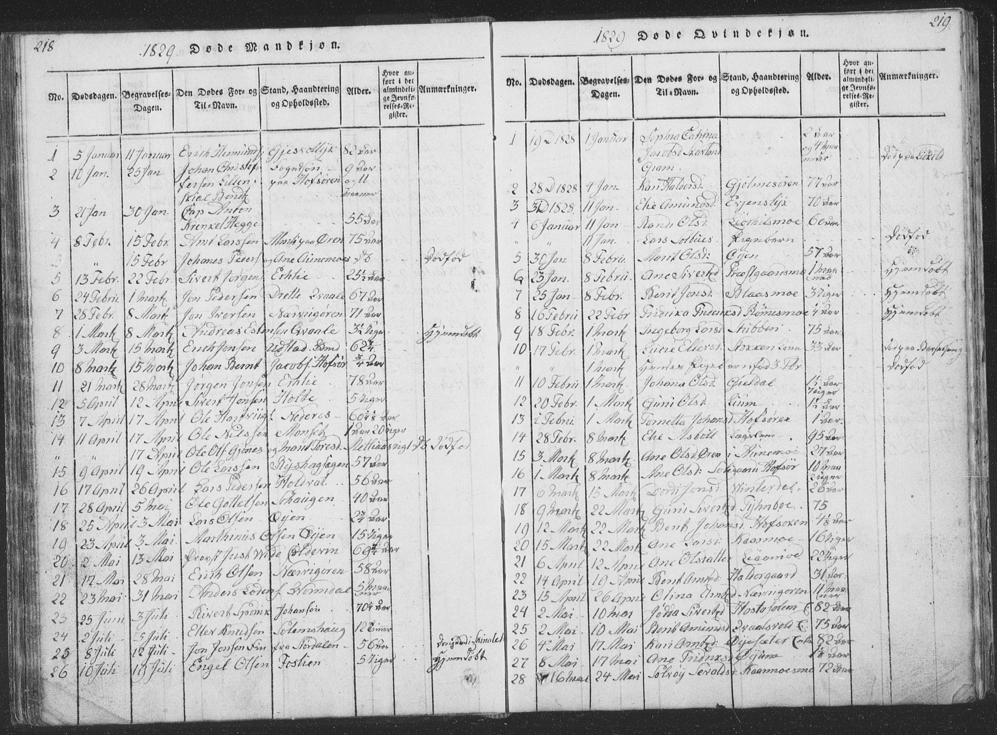 Ministerialprotokoller, klokkerbøker og fødselsregistre - Sør-Trøndelag, AV/SAT-A-1456/668/L0816: Parish register (copy) no. 668C05, 1816-1893, p. 218-219