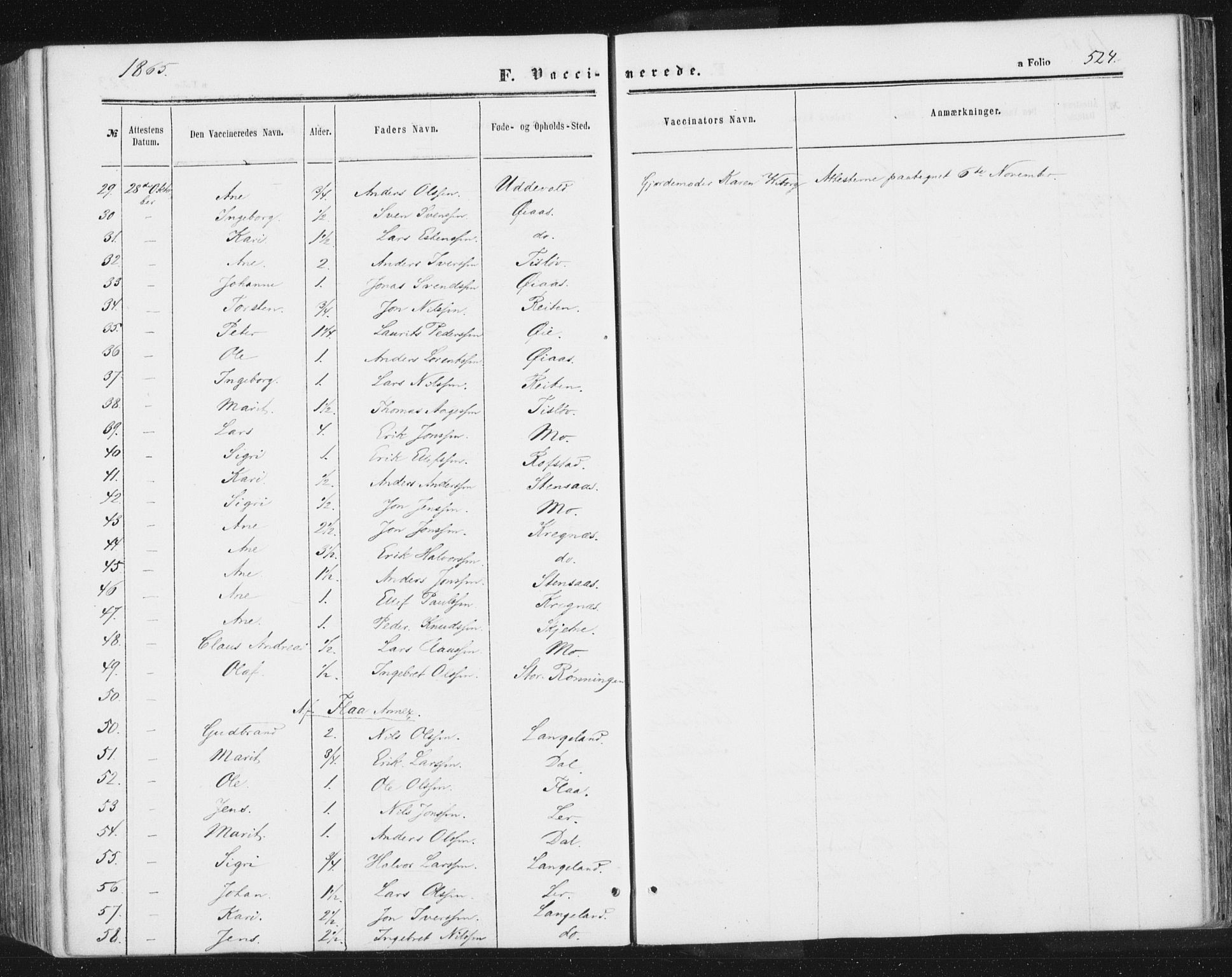 Ministerialprotokoller, klokkerbøker og fødselsregistre - Sør-Trøndelag, AV/SAT-A-1456/691/L1077: Parish register (official) no. 691A09, 1862-1873, p. 524