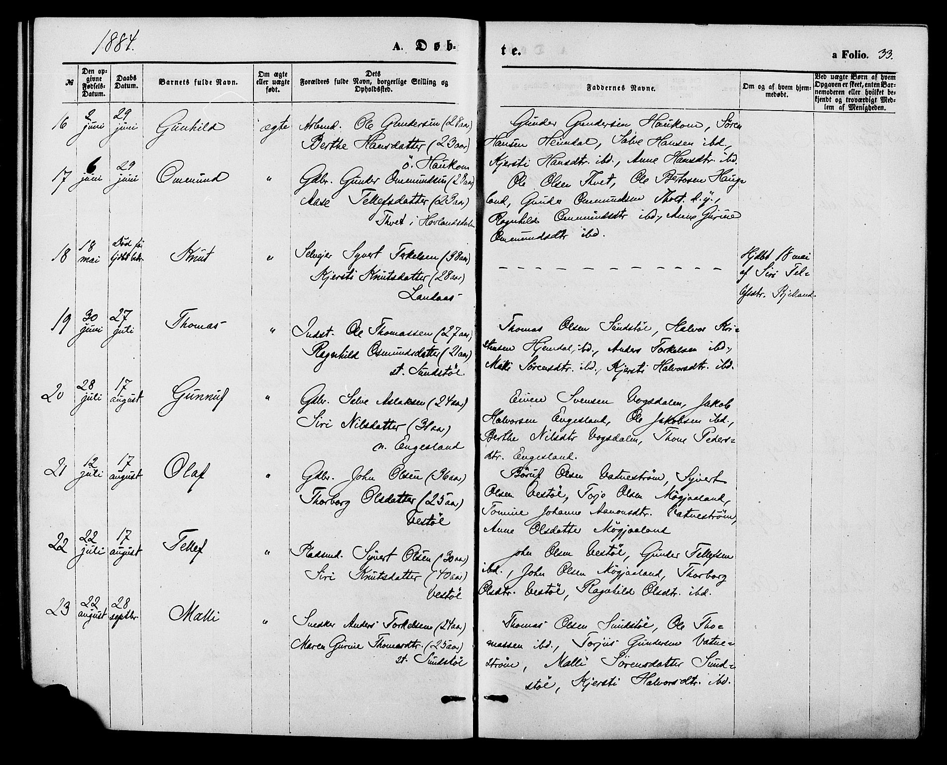 Herefoss sokneprestkontor, AV/SAK-1111-0019/F/Fa/Fab/L0003: Parish register (official) no. A 3, 1875-1886, p. 33