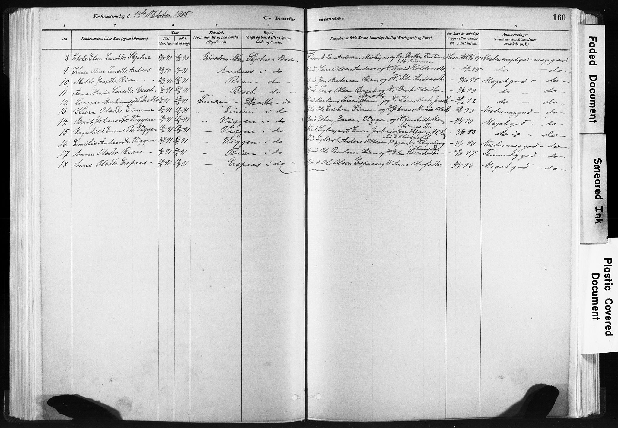 Ministerialprotokoller, klokkerbøker og fødselsregistre - Sør-Trøndelag, AV/SAT-A-1456/665/L0773: Parish register (official) no. 665A08, 1879-1905, p. 160