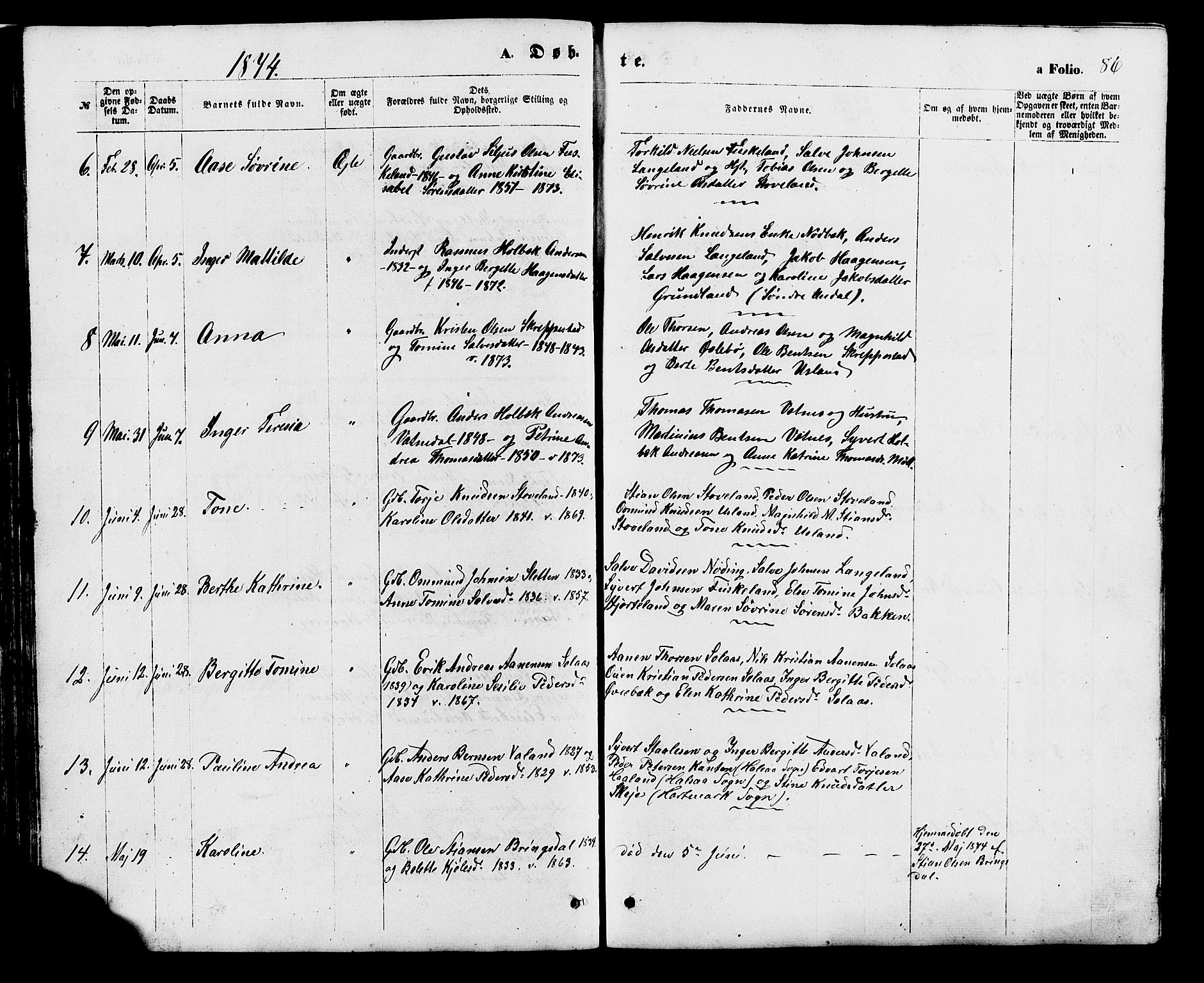 Holum sokneprestkontor, AV/SAK-1111-0022/F/Fb/Fba/L0004: Parish register (copy) no. B 4, 1867-1890, p. 86