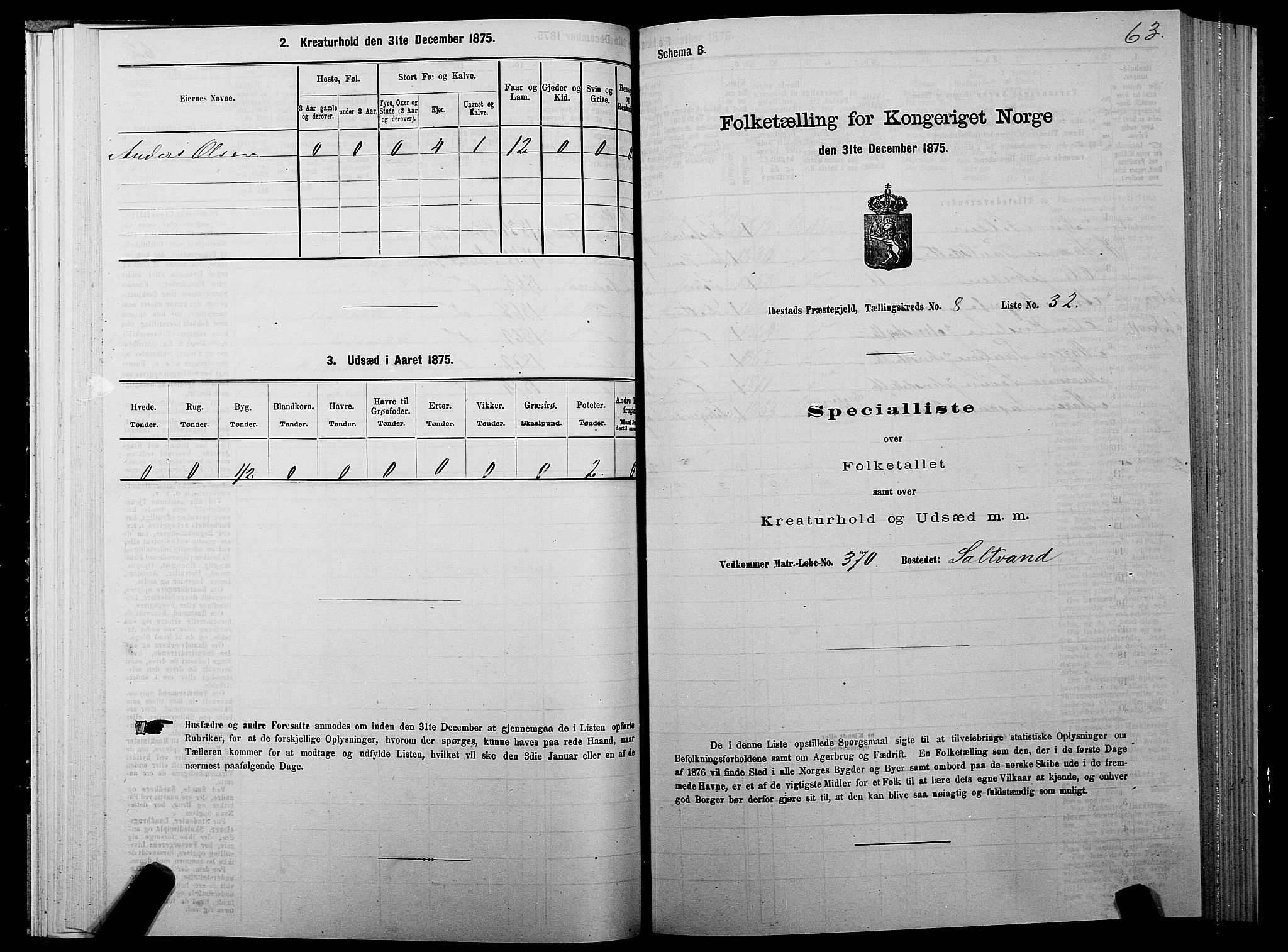 SATØ, 1875 census for 1917P Ibestad, 1875, p. 5063