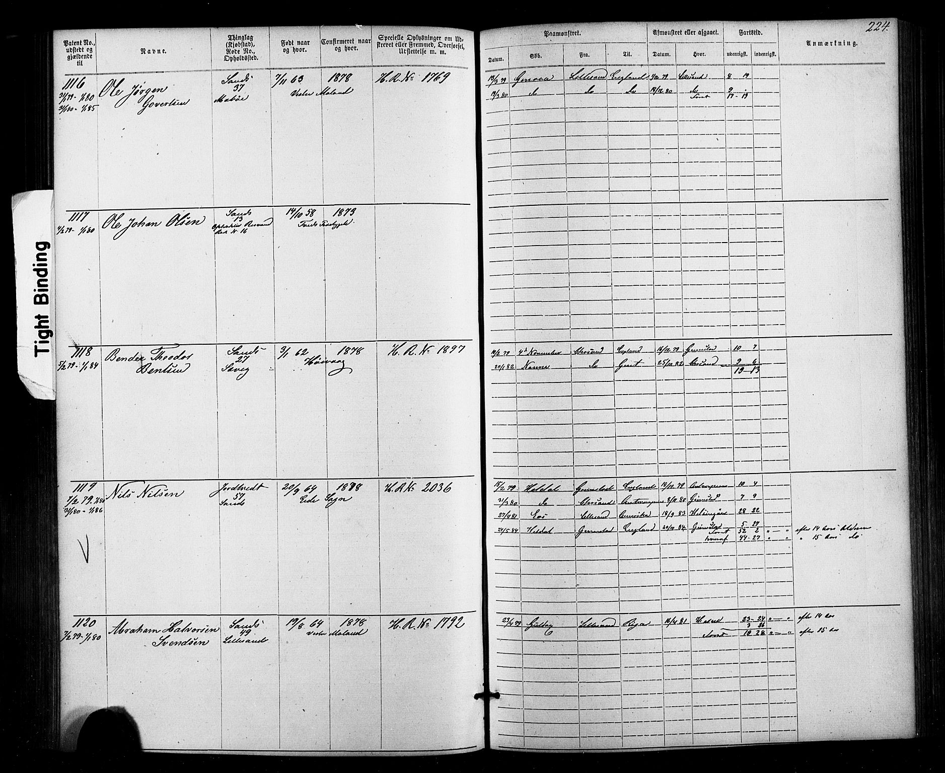 Lillesand mønstringskrets, SAK/2031-0014/F/Fa/L0002: Annotasjonsrulle nr 1-1910 med register, W-8, 1868-1891, p. 230