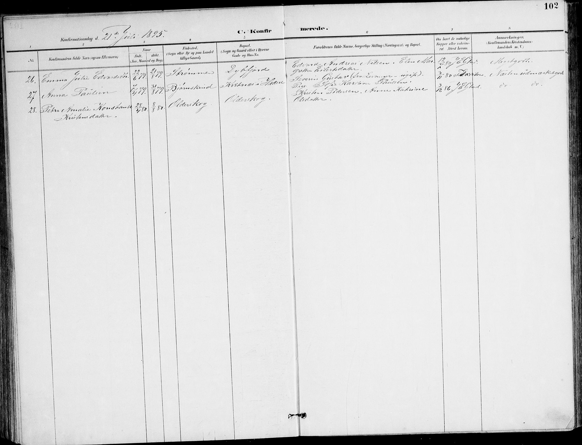 Ministerialprotokoller, klokkerbøker og fødselsregistre - Nordland, AV/SAT-A-1459/895/L1372: Parish register (official) no. 895A07, 1894-1914, p. 102