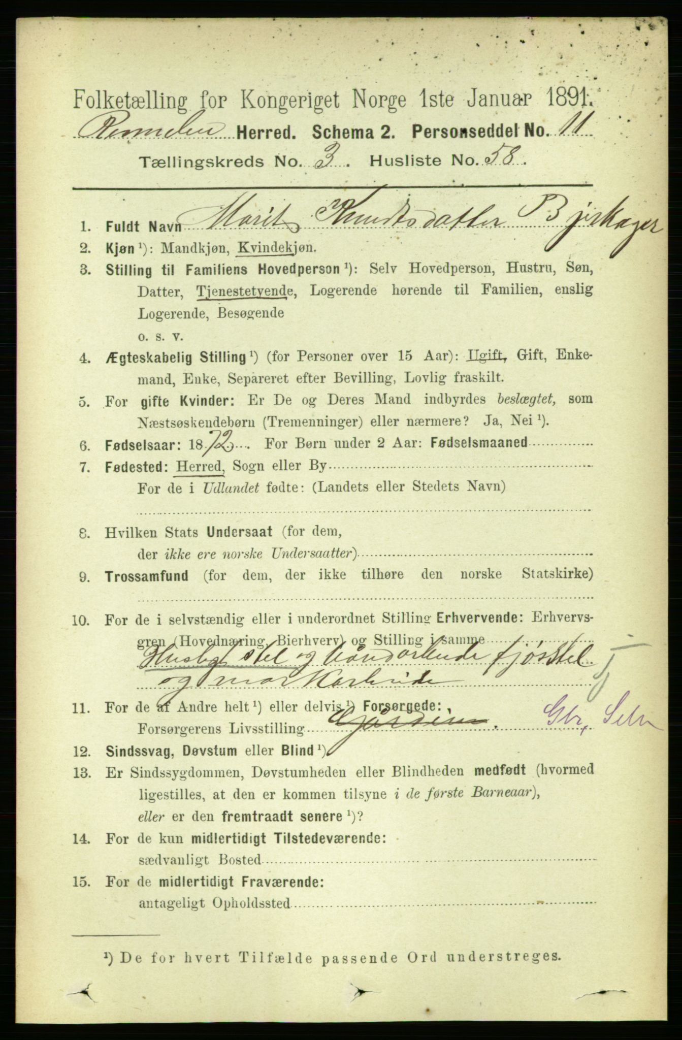 RA, 1891 census for 1635 Rennebu, 1891, p. 1678