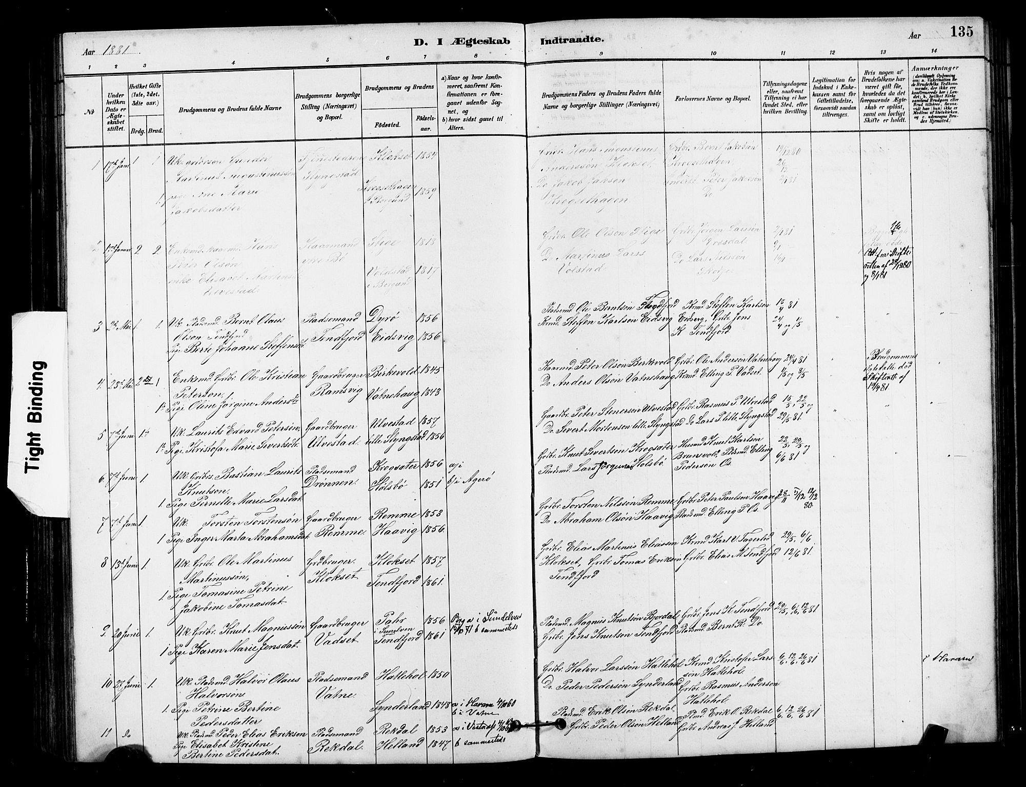 Ministerialprotokoller, klokkerbøker og fødselsregistre - Møre og Romsdal, AV/SAT-A-1454/525/L0376: Parish register (copy) no. 525C02, 1880-1902, p. 135