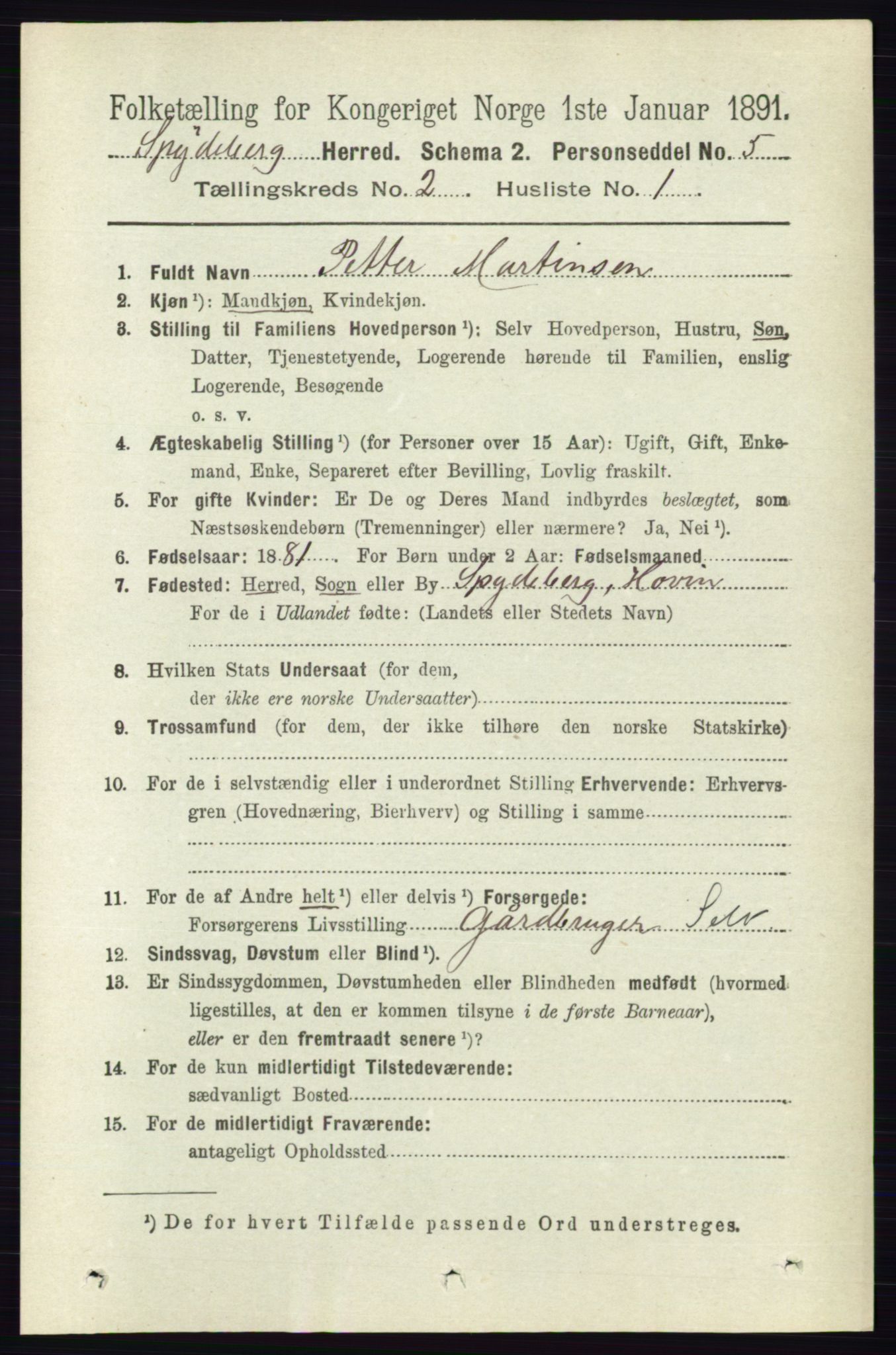 RA, 1891 census for 0123 Spydeberg, 1891, p. 700