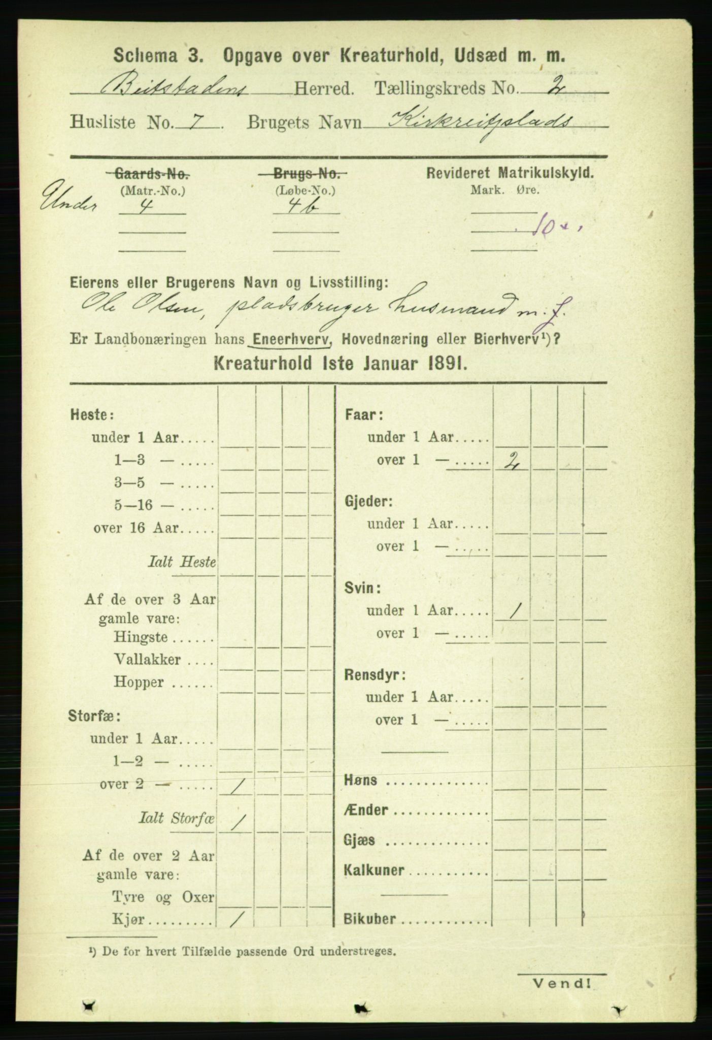 RA, 1891 census for 1727 Beitstad, 1891, p. 5703