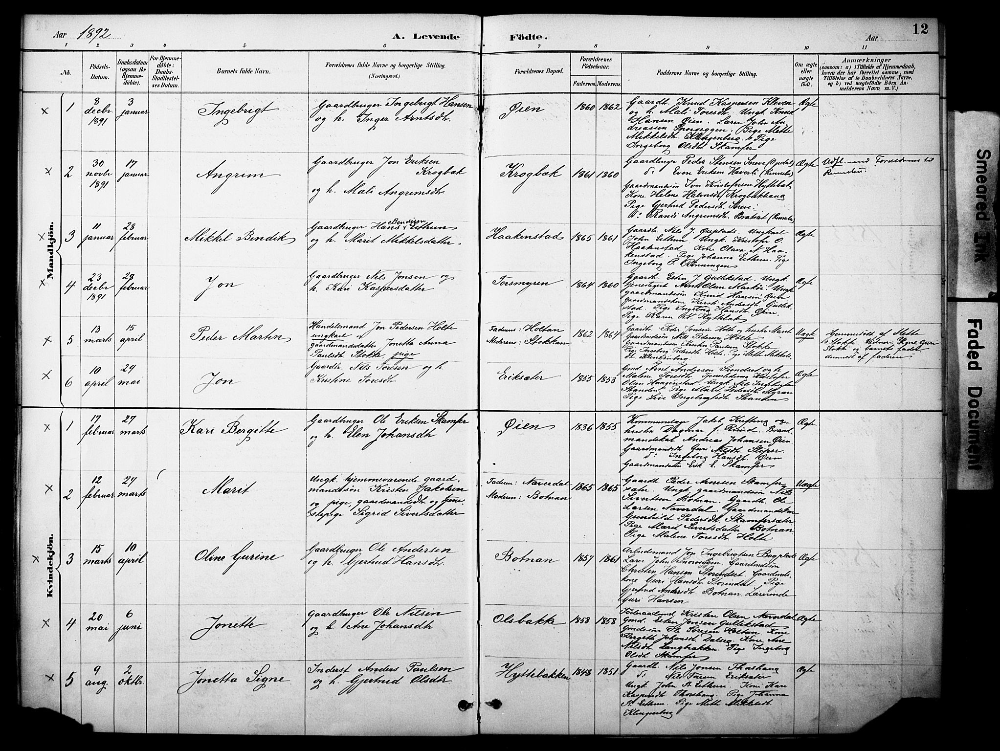 Kvikne prestekontor, AV/SAH-PREST-064/H/Ha/Haa/L0007: Parish register (official) no. 7, 1887-1911, p. 12