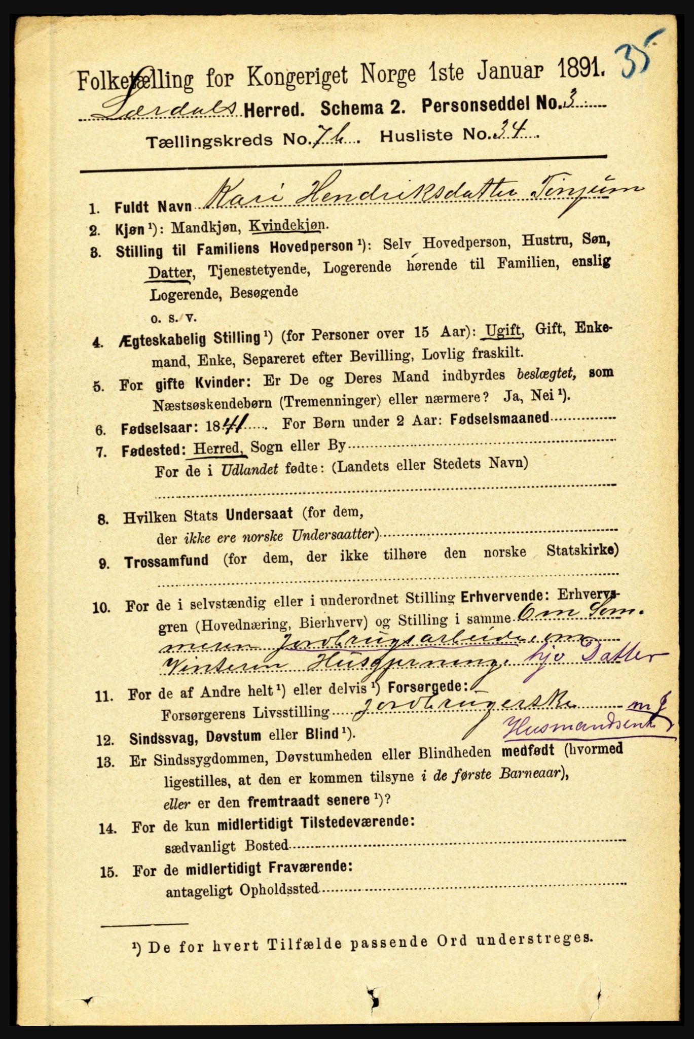 RA, 1891 census for 1422 Lærdal, 1891, p. 1325