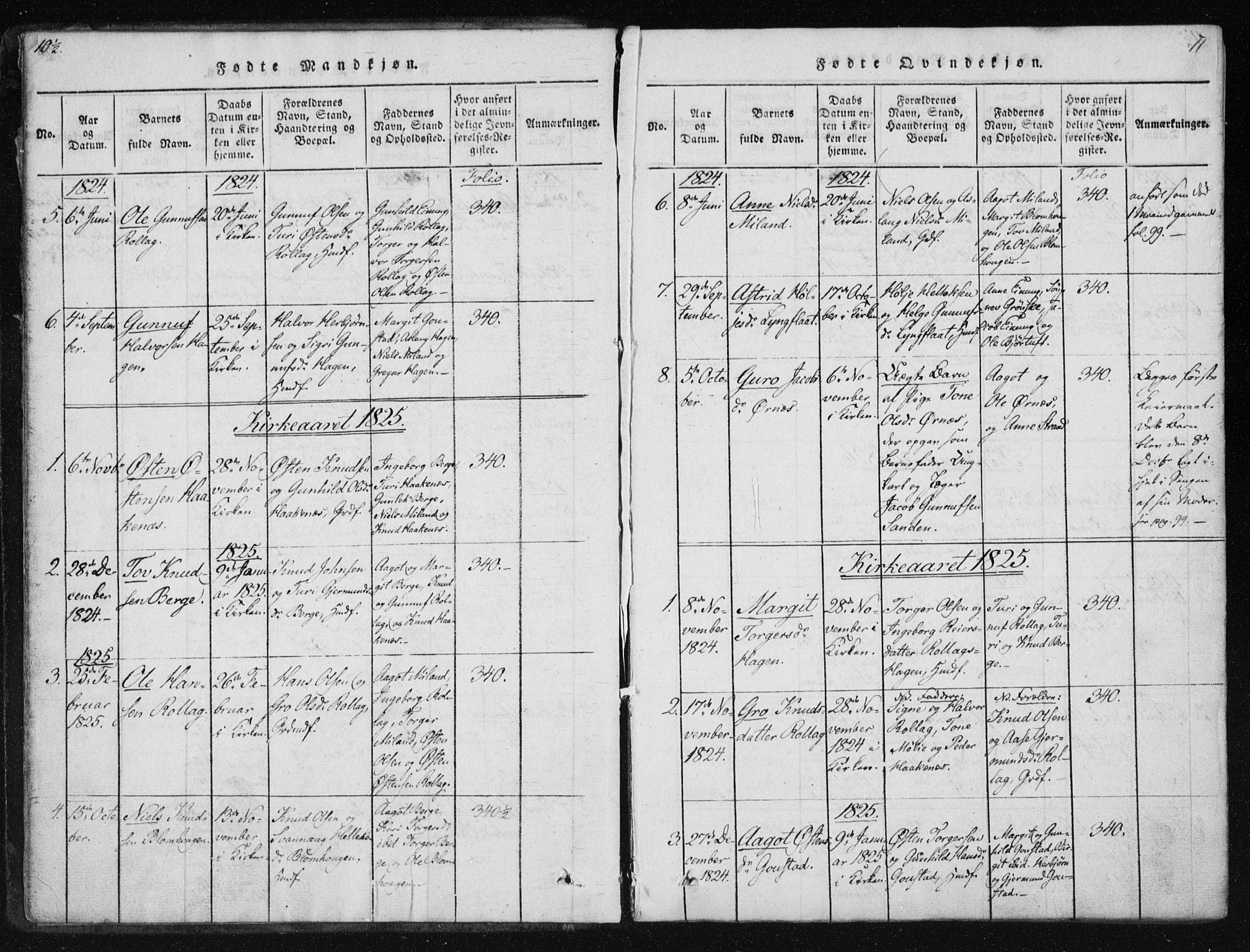 Tinn kirkebøker, SAKO/A-308/F/Fb/L0001: Parish register (official) no. II 1, 1815-1843, p. 11
