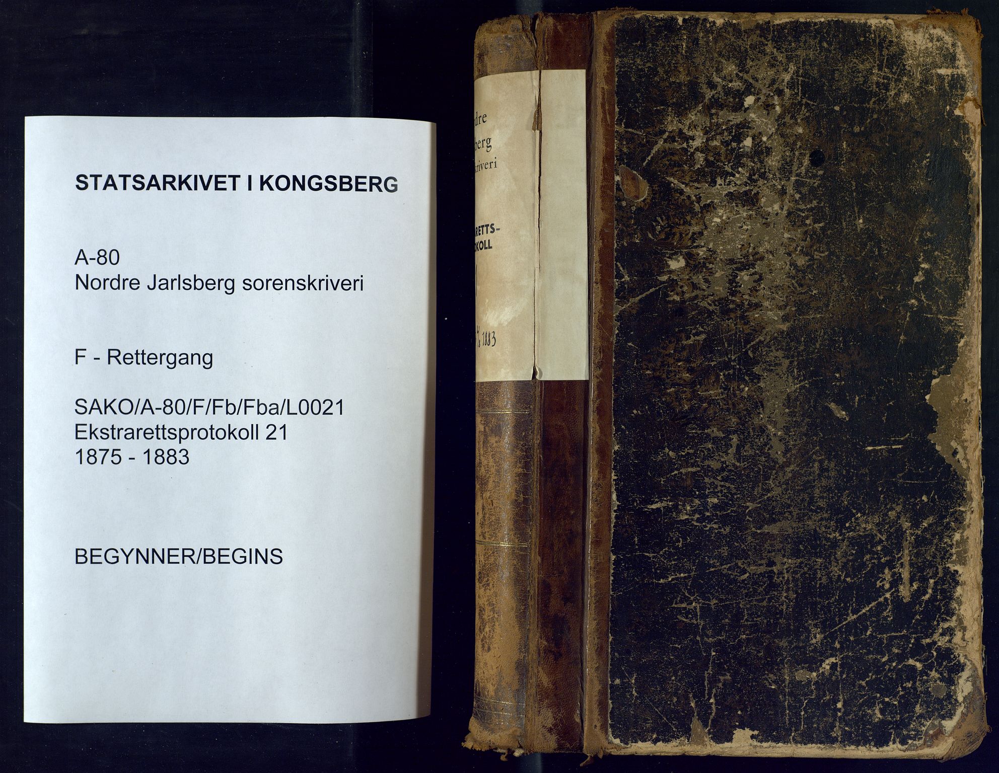 Nordre Jarlsberg sorenskriveri, AV/SAKO-A-80/F/Fb/Fba/L0021: Ekstrarettsprotokoll, 1875-1883