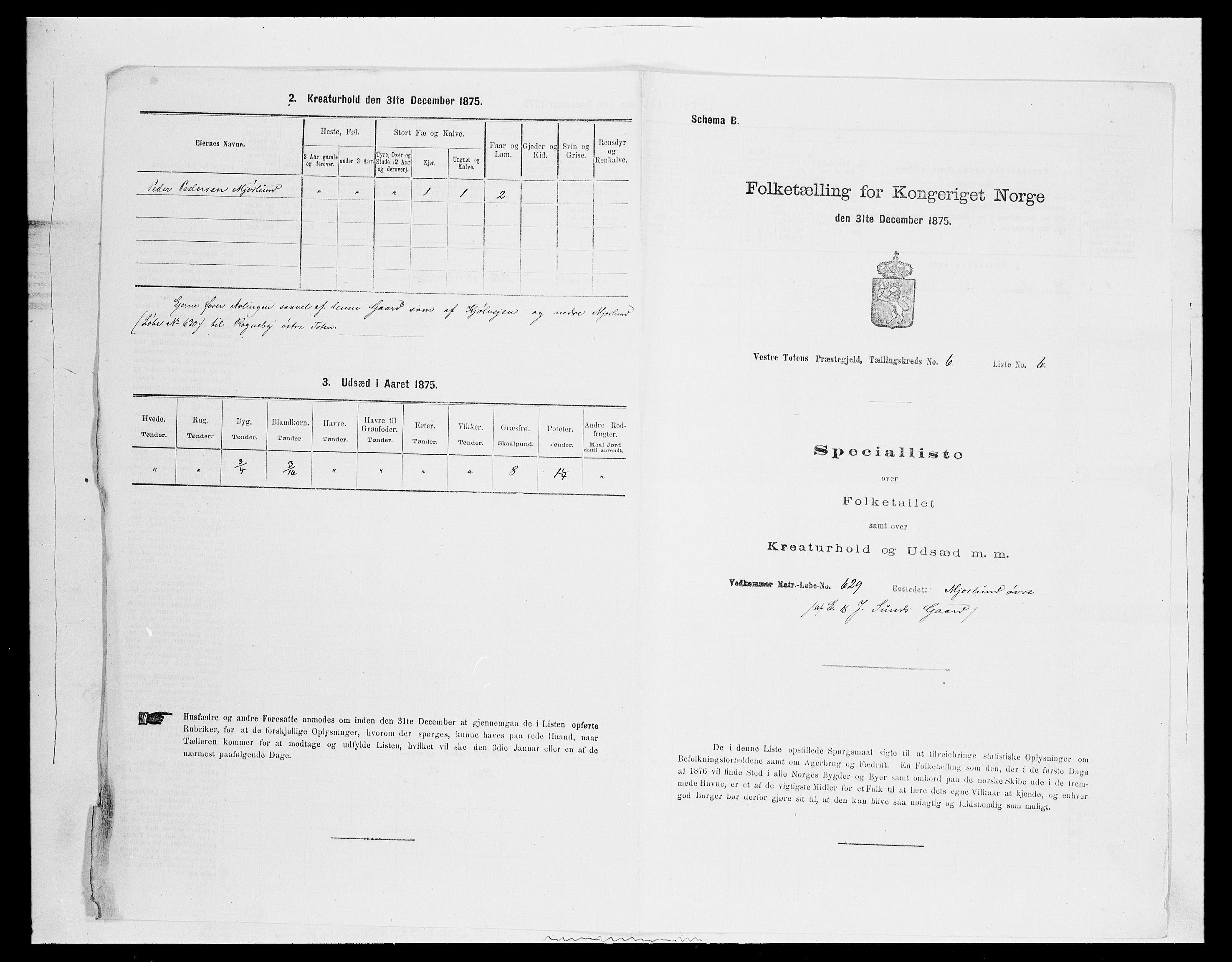 SAH, 1875 census for 0529P Vestre Toten, 1875, p. 1161