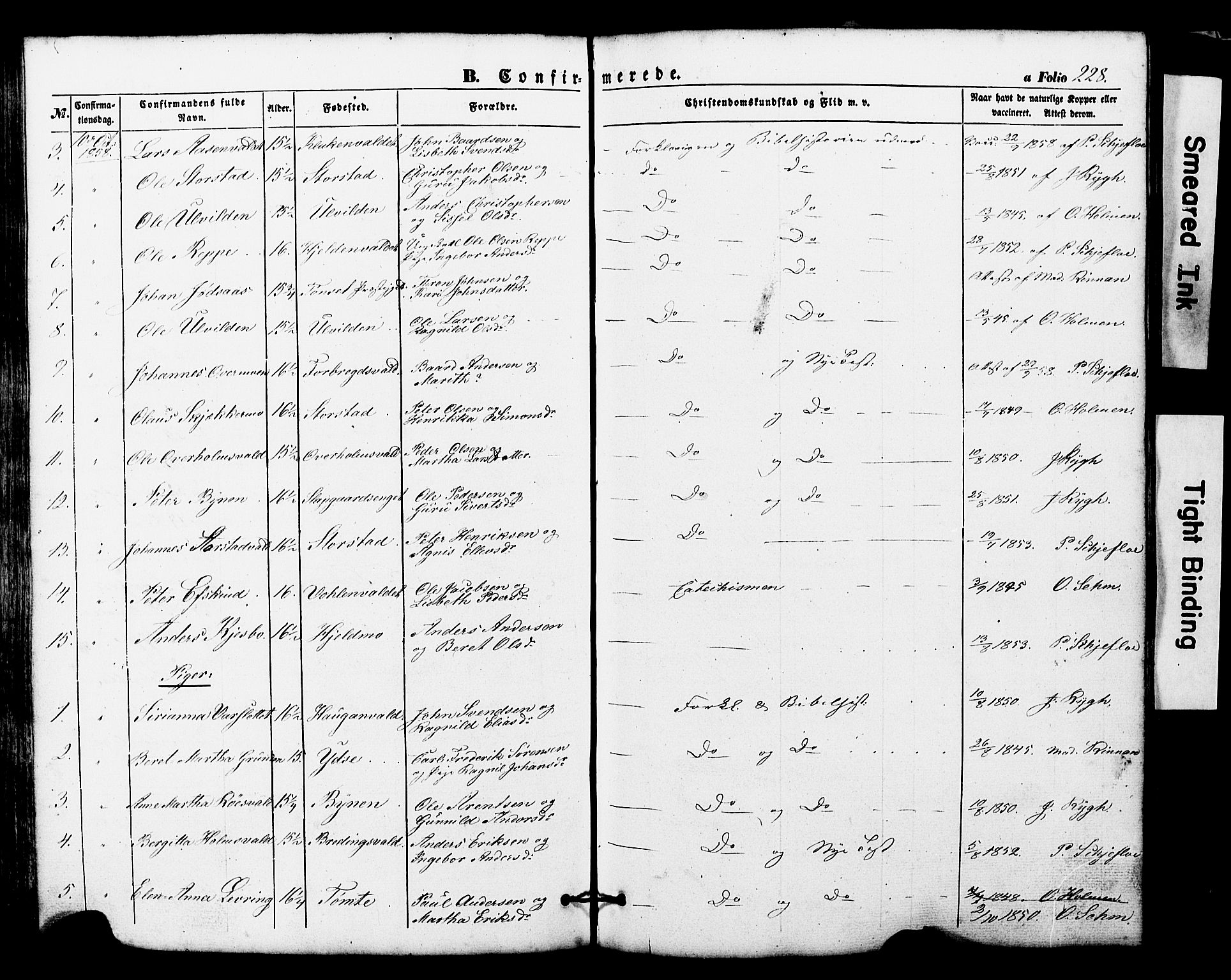 Ministerialprotokoller, klokkerbøker og fødselsregistre - Nord-Trøndelag, SAT/A-1458/724/L0268: Parish register (copy) no. 724C04, 1846-1878, p. 228