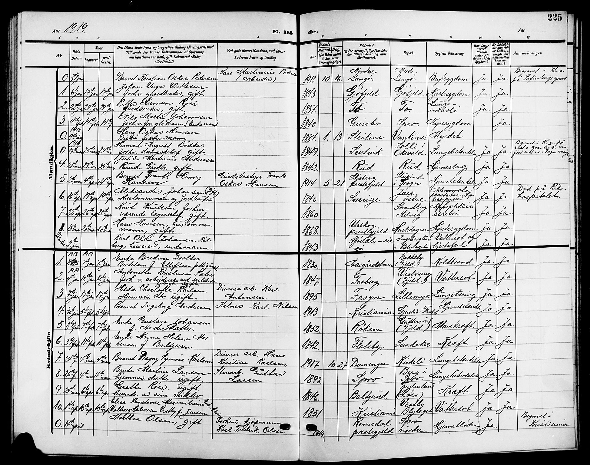 Nesodden prestekontor Kirkebøker, SAO/A-10013/G/Ga/L0002: Parish register (copy) no. I 2, 1905-1924, p. 225