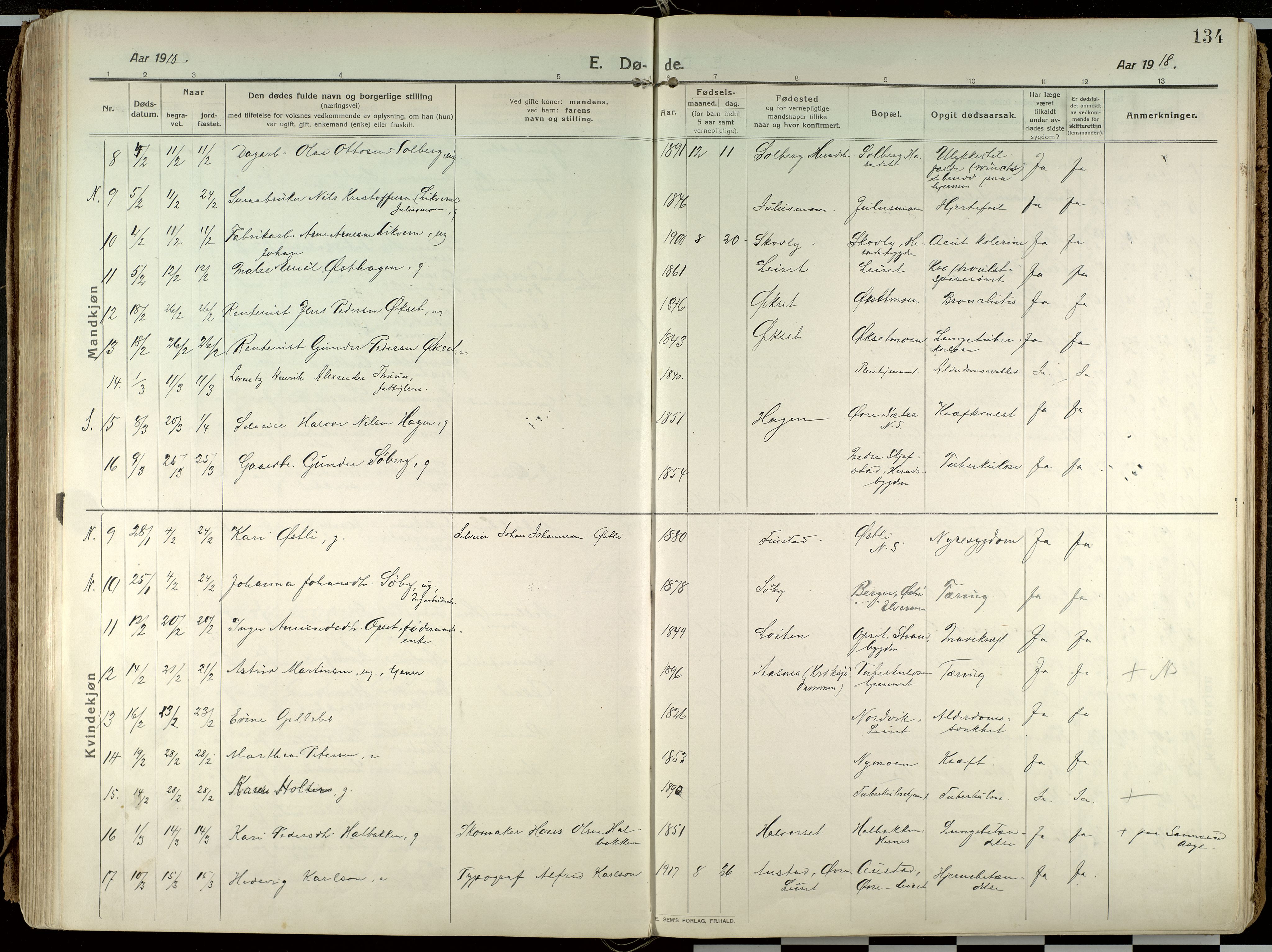 Elverum prestekontor, AV/SAH-PREST-044/H/Ha/Haa/L0021: Parish register (official) no. 21, 1913-1928, p. 134