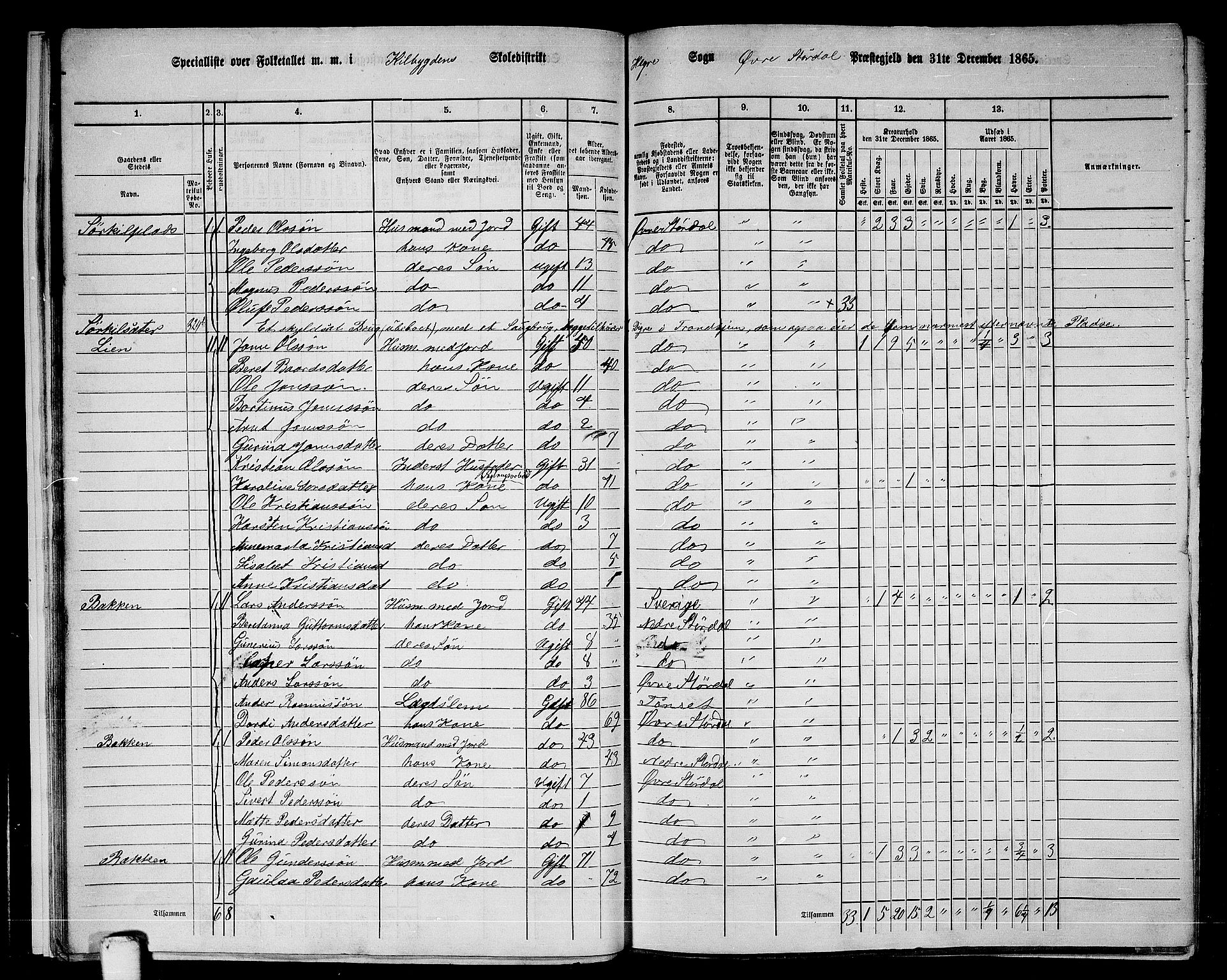 RA, 1865 census for Øvre Stjørdal, 1865, p. 20