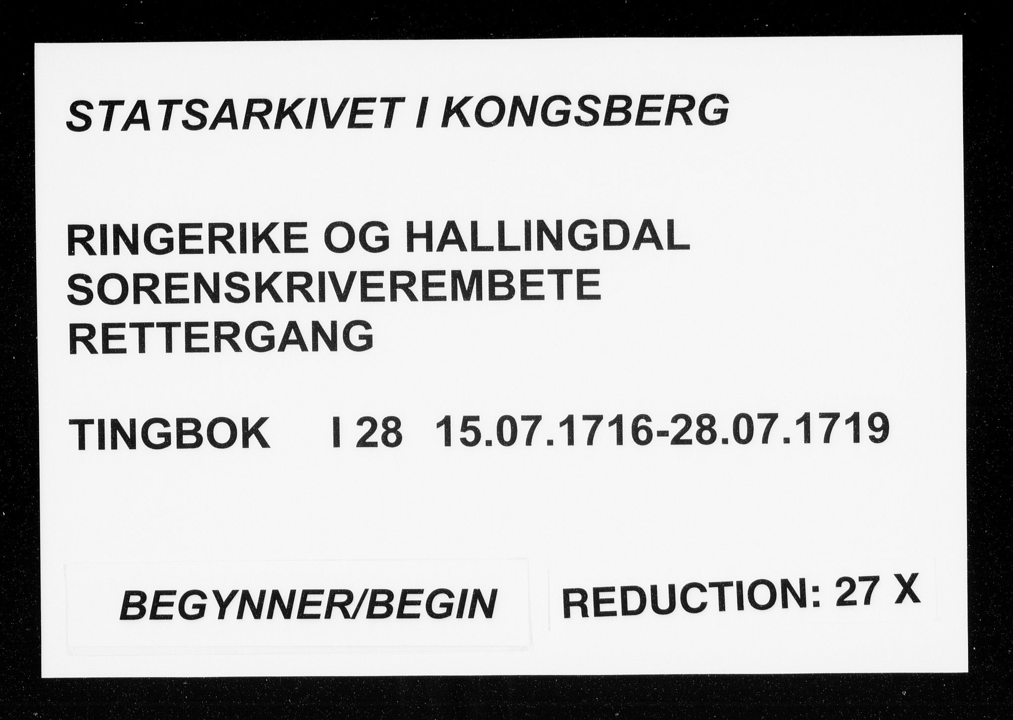 Ringerike og Hallingdal sorenskriveri, AV/SAKO-A-81/F/Fa/Faa/L0028: Tingbok, 1716-1719