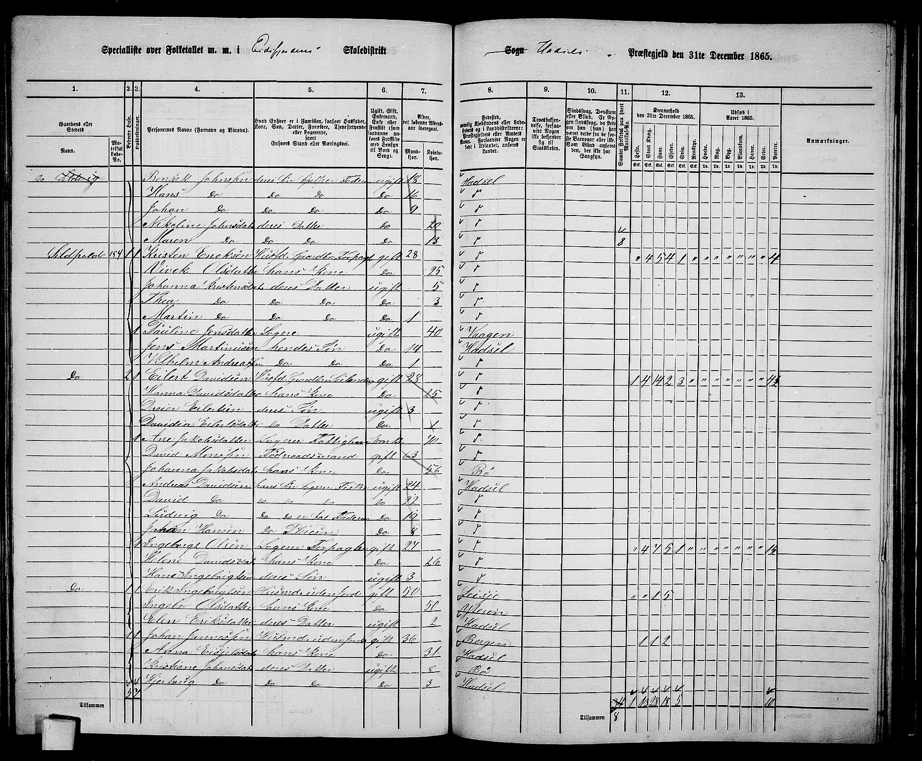 RA, 1865 census for Hadsel, 1865, p. 138