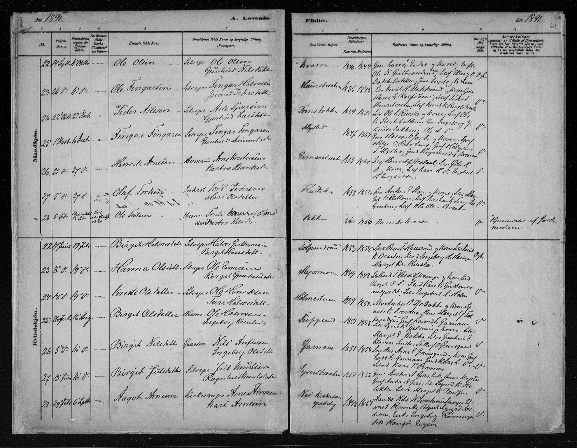 Nes kirkebøker, AV/SAKO-A-236/F/Fa/L0011: Parish register (official) no. 11, 1881-1912, p. 61