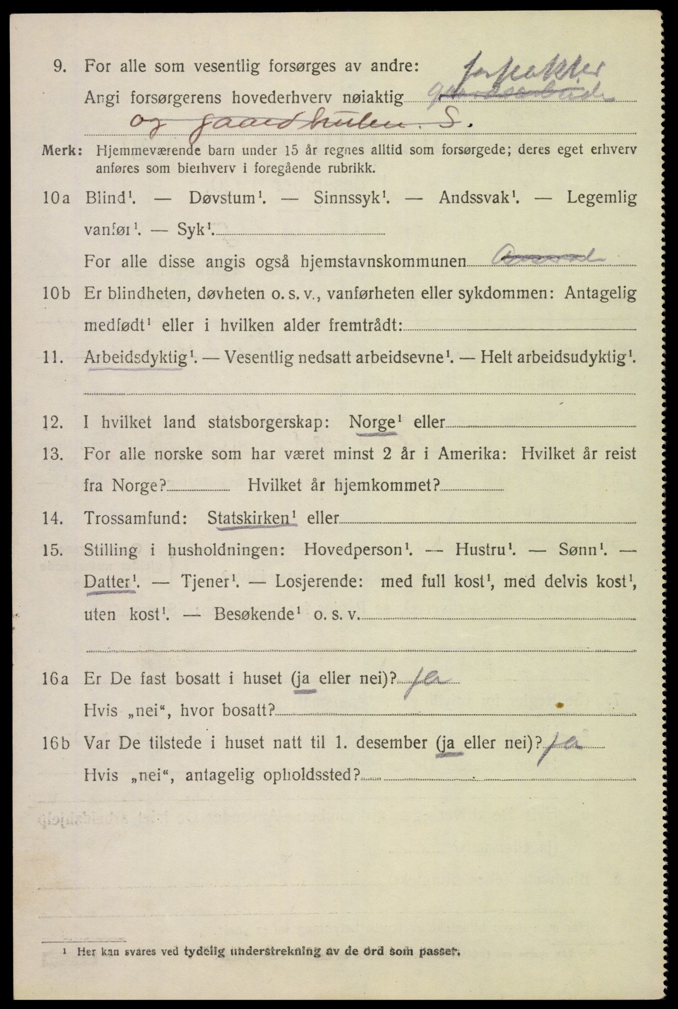 SAK, 1920 census for Åseral, 1920, p. 1205