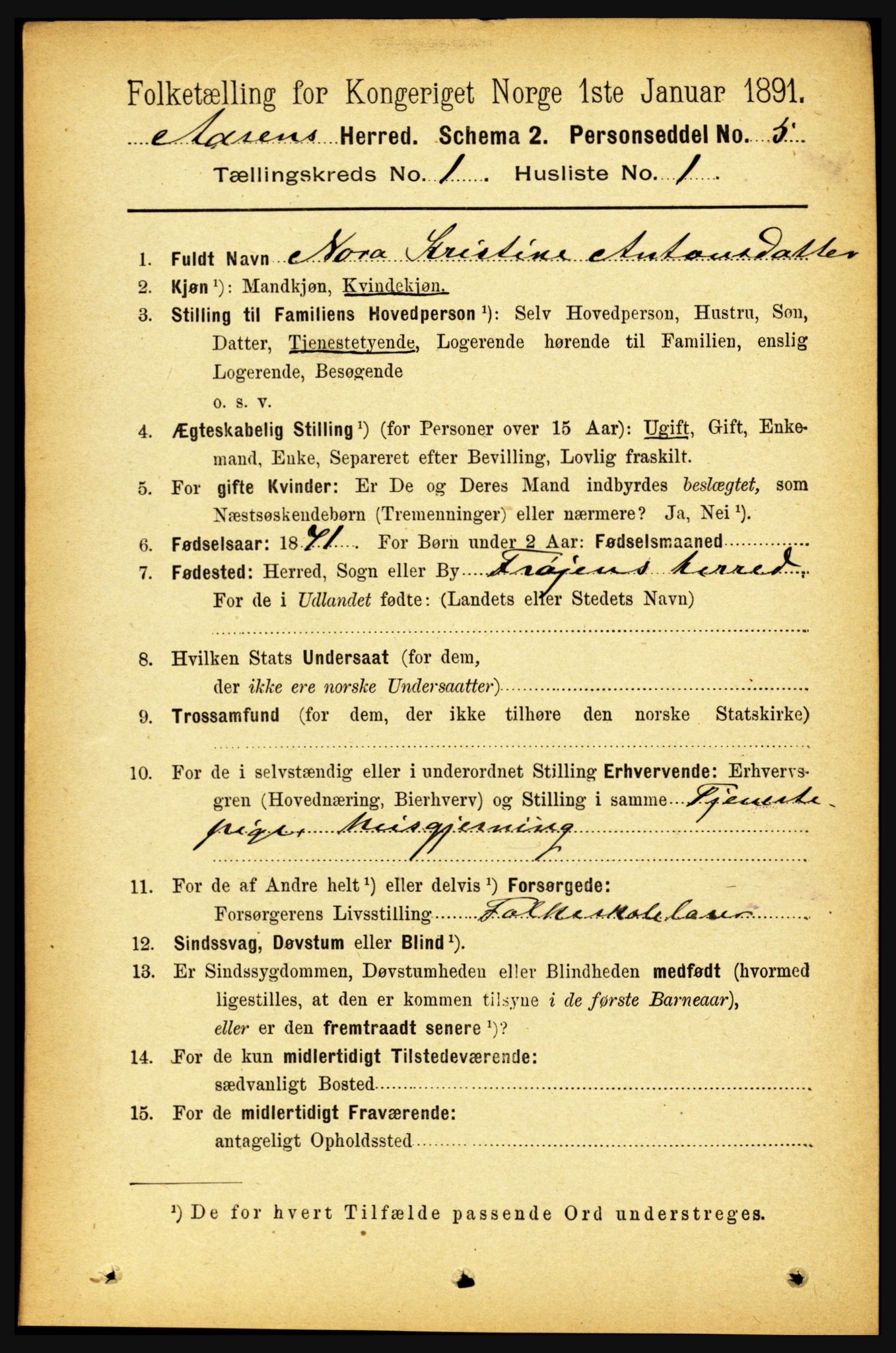 RA, 1891 census for 1716 Åsen, 1891, p. 102