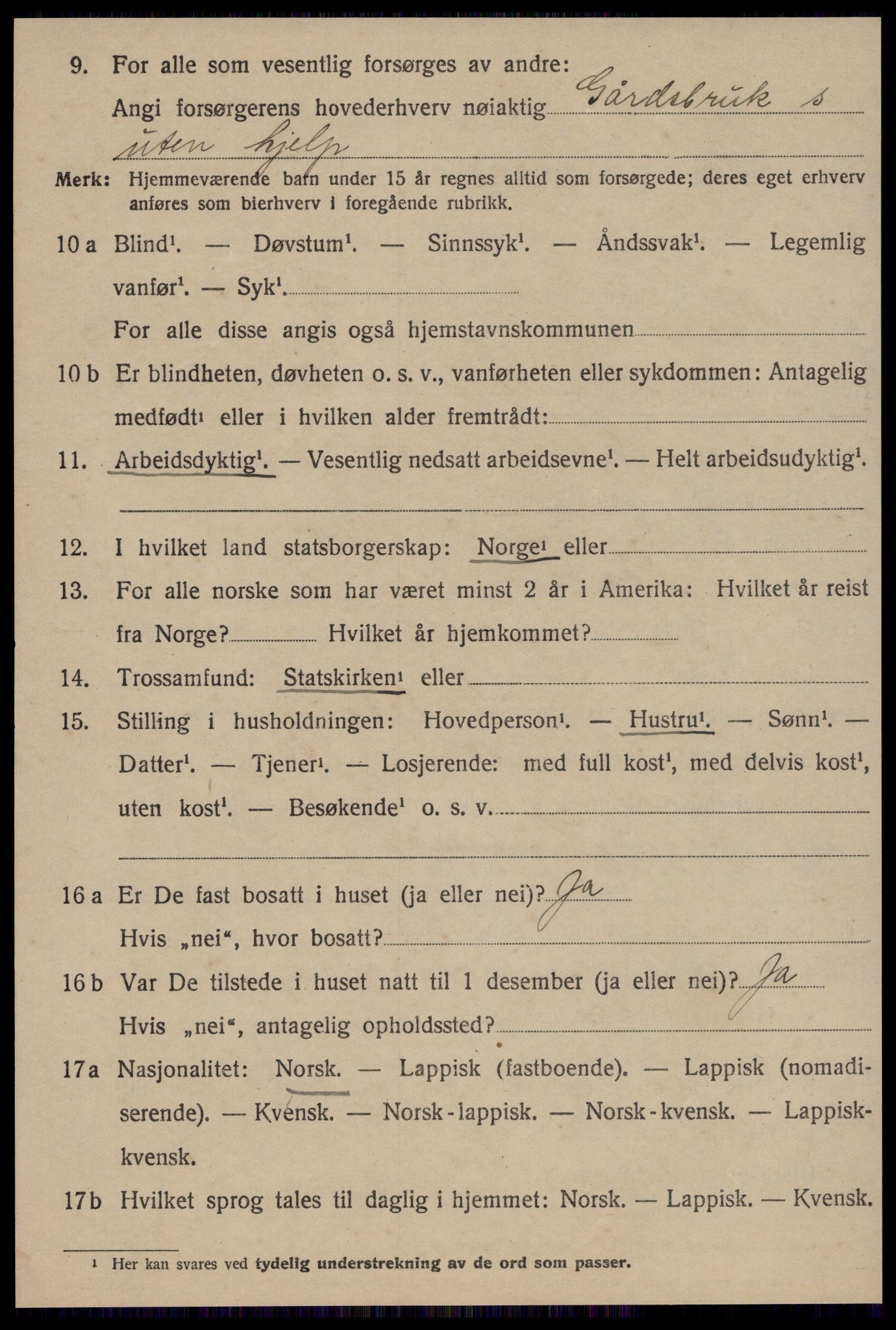 SAT, 1920 census for Røros, 1920, p. 9379