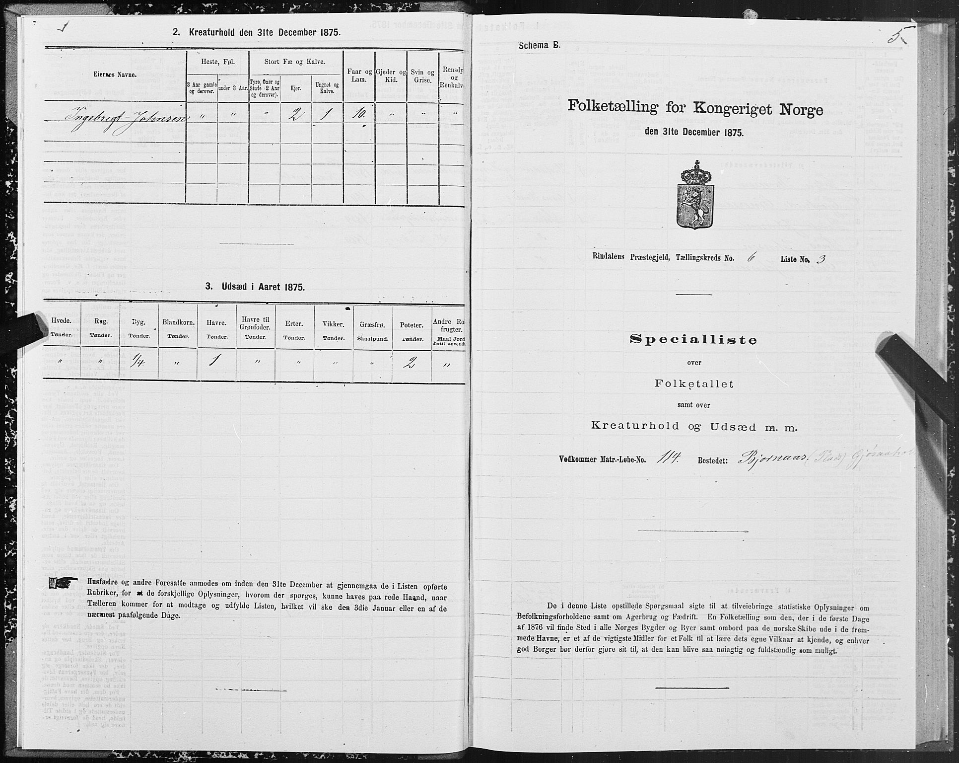 SAT, 1875 census for 1567P Rindal, 1875, p. 3005