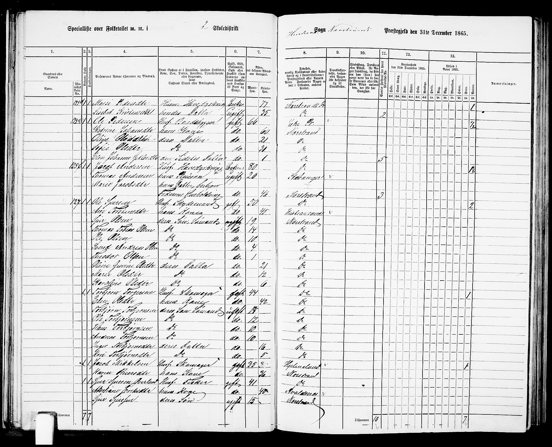 RA, 1865 census for Nedstrand, 1865, p. 41