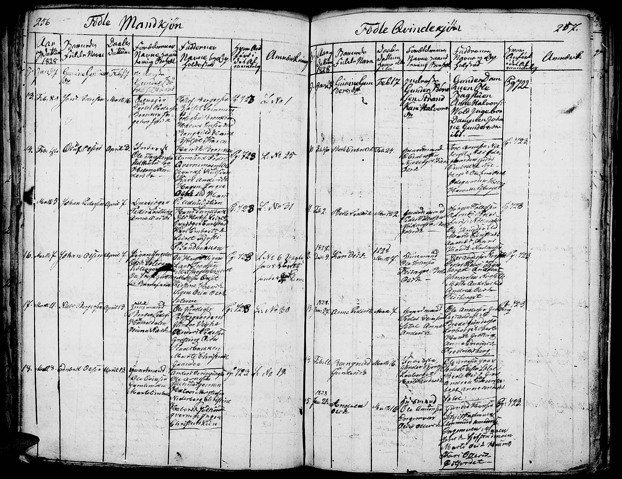 Elverum prestekontor, SAH/PREST-044/H/Ha/Hab/L0001: Parish register (copy) no. 1, 1815-1829, p. 256-257