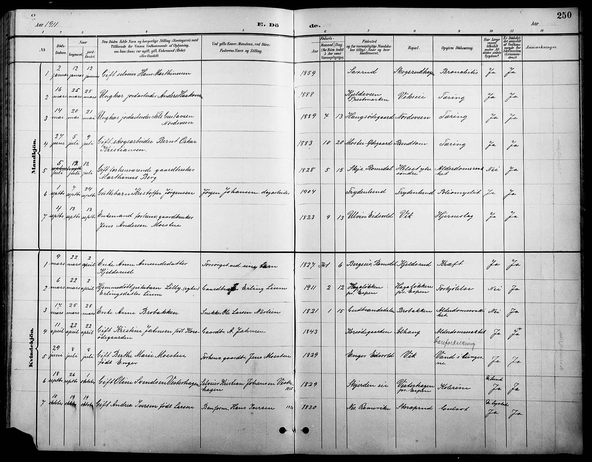 Stange prestekontor, AV/SAH-PREST-002/L/L0011: Parish register (copy) no. 11, 1895-1917, p. 250