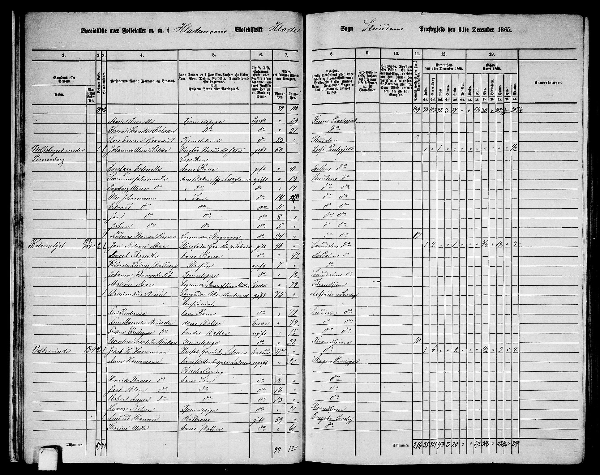 RA, 1865 census for Strinda, 1865, p. 21