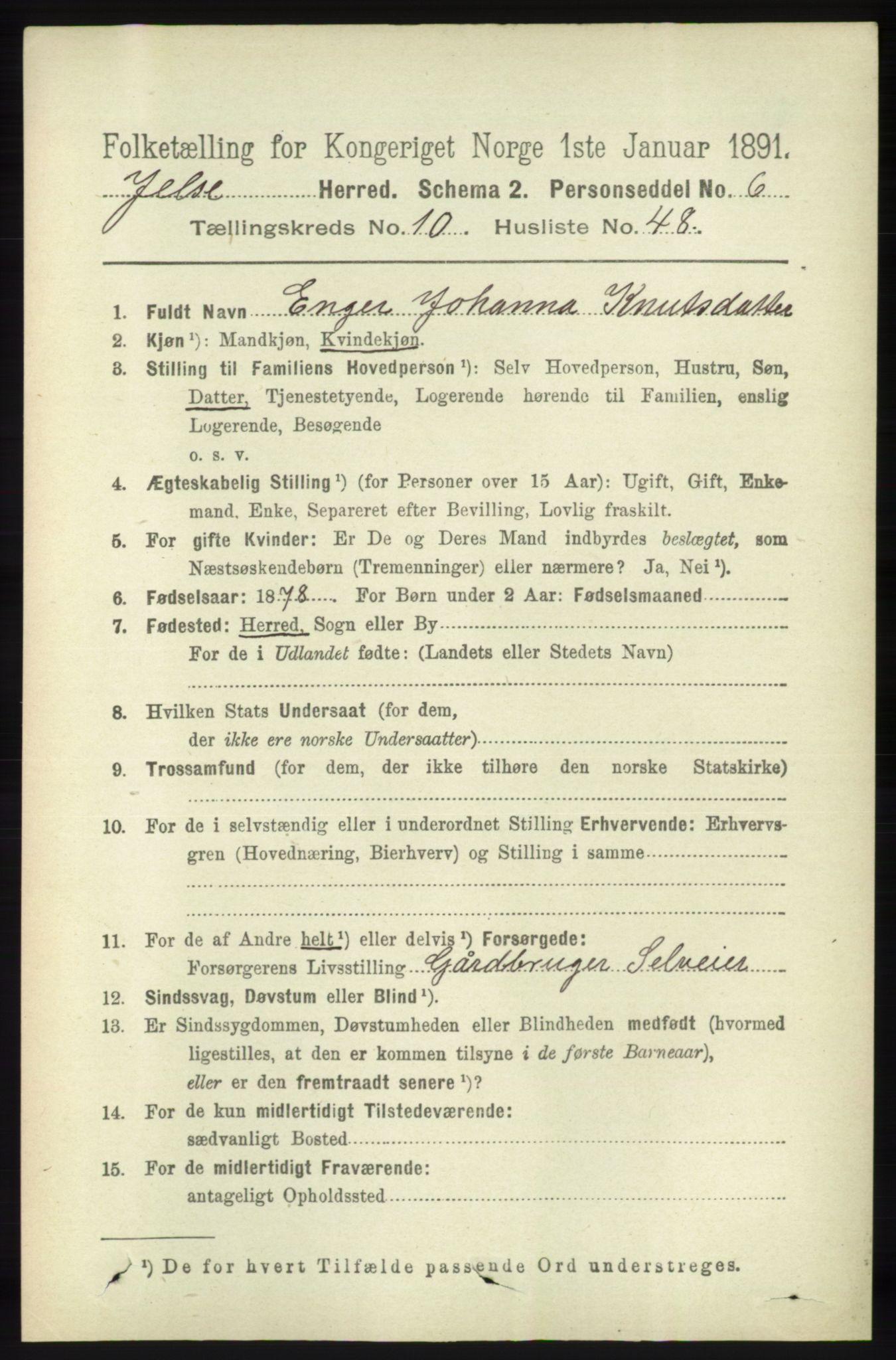 RA, 1891 census for 1138 Jelsa, 1891, p. 2704