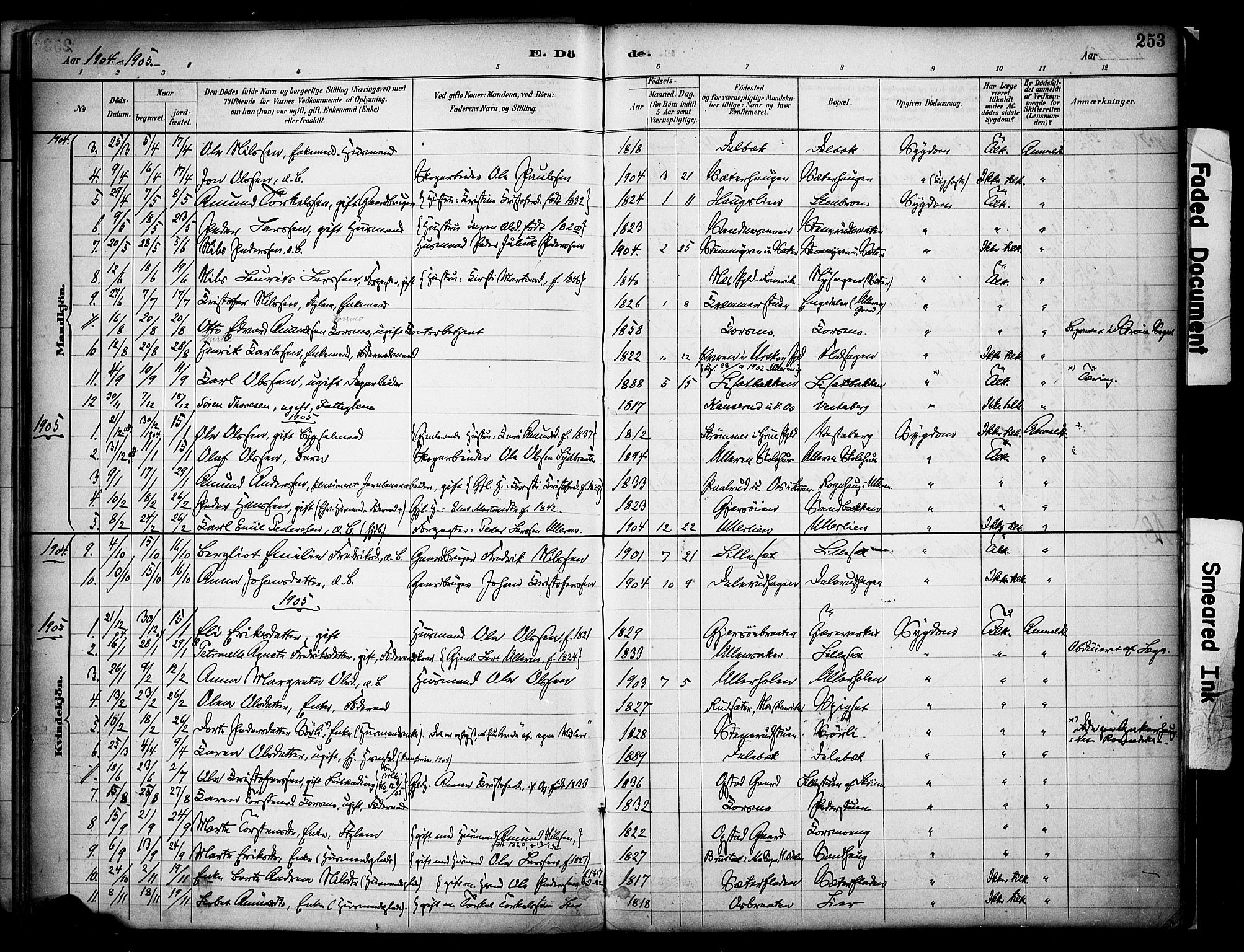 Sør-Odal prestekontor, AV/SAH-PREST-030/H/Ha/Haa/L0008: Parish register (official) no. 8, 1886-1922, p. 253