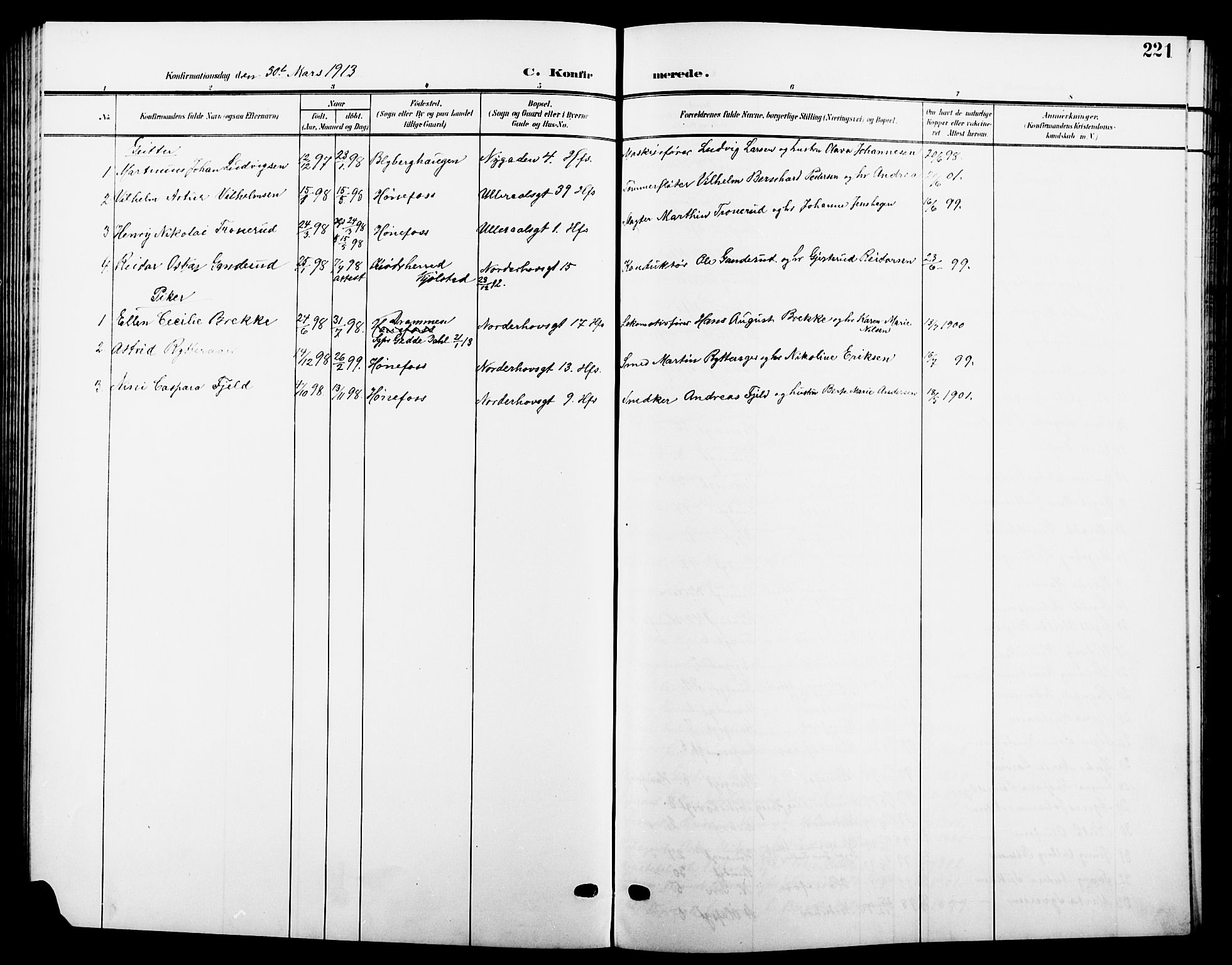 Hønefoss kirkebøker, AV/SAKO-A-609/G/Ga/L0003: Parish register (copy) no. 3, 1905-1925, p. 221