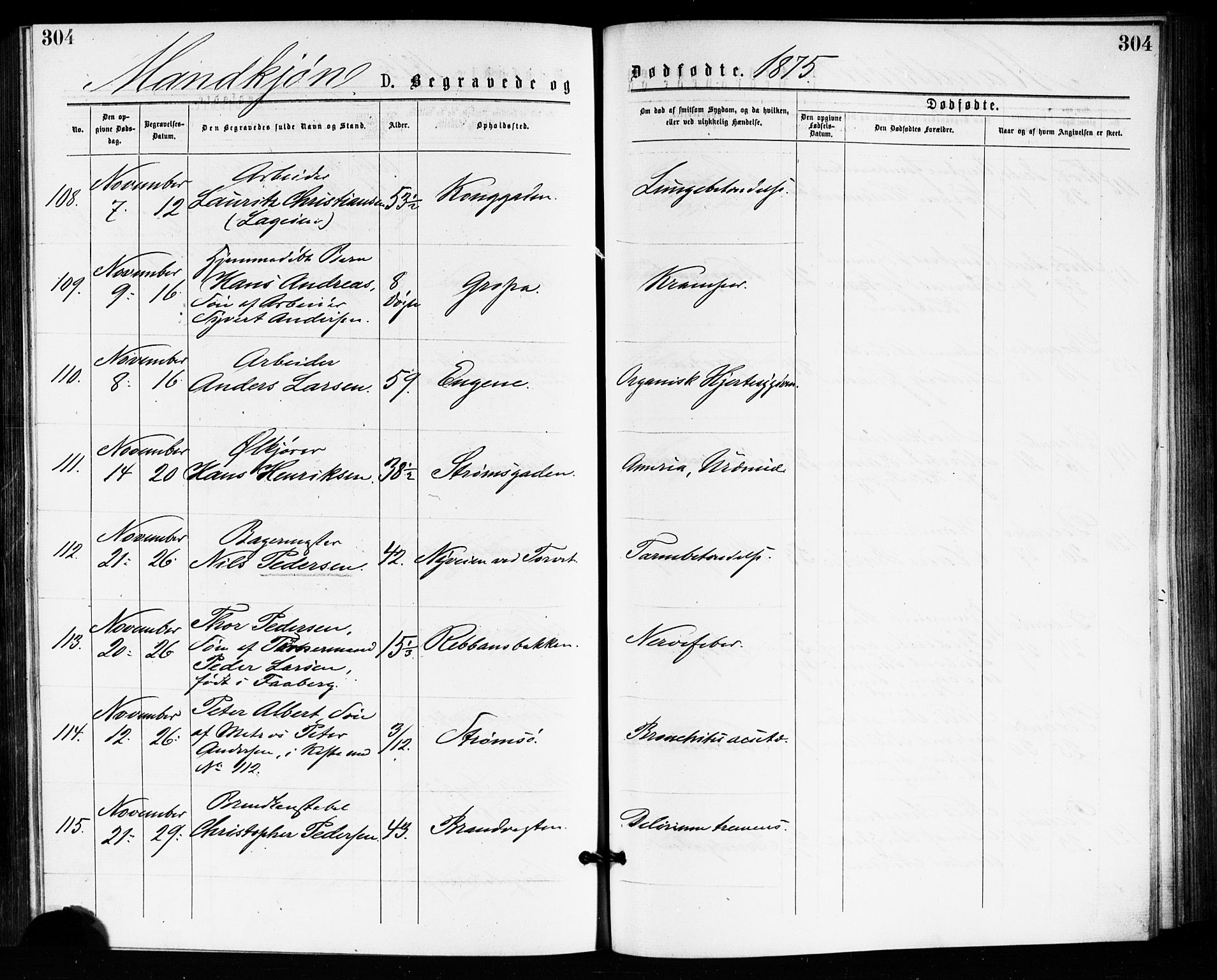 Bragernes kirkebøker, SAKO/A-6/F/Fb/L0005: Parish register (official) no. II 5, 1875-1877, p. 304