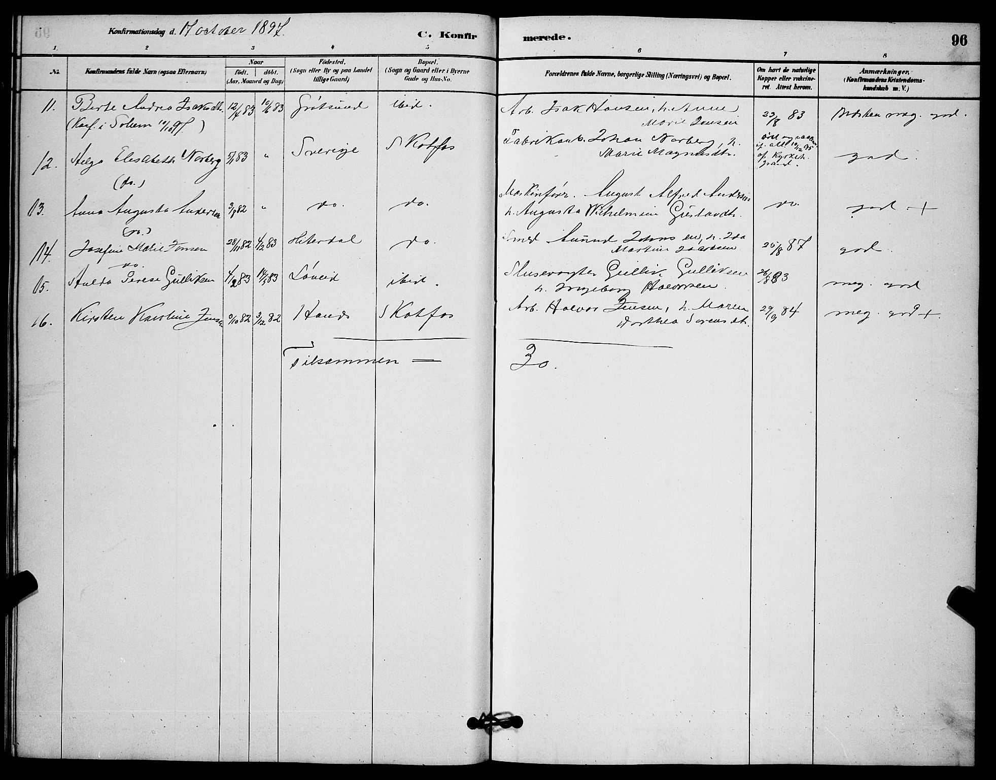 Solum kirkebøker, AV/SAKO-A-306/G/Gb/L0003: Parish register (copy) no. II 3, 1880-1898, p. 96