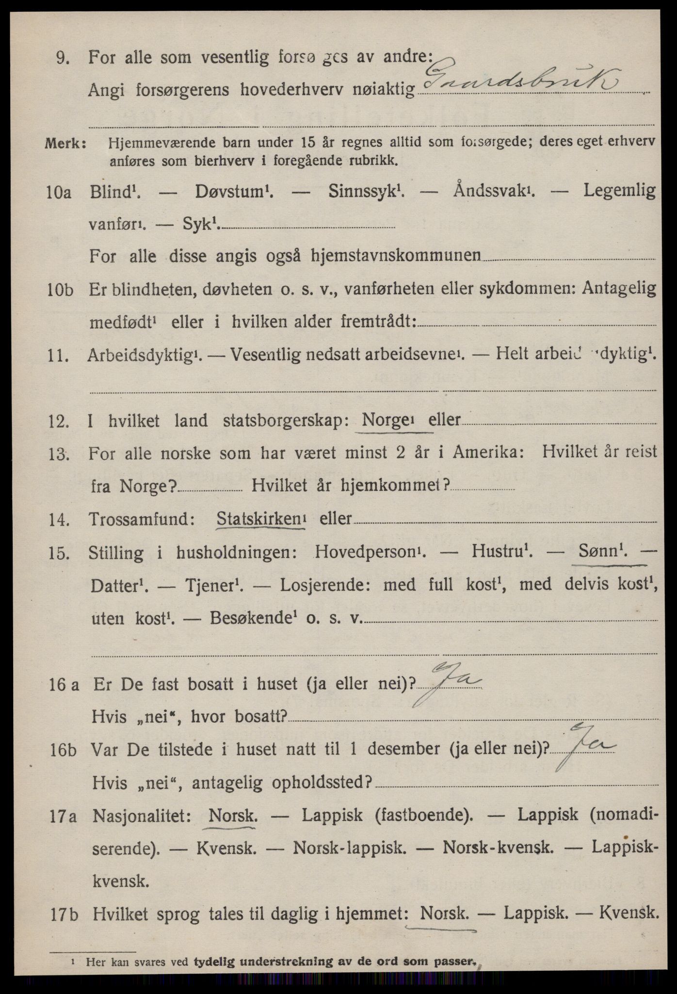 SAT, 1920 census for Røros, 1920, p. 10251